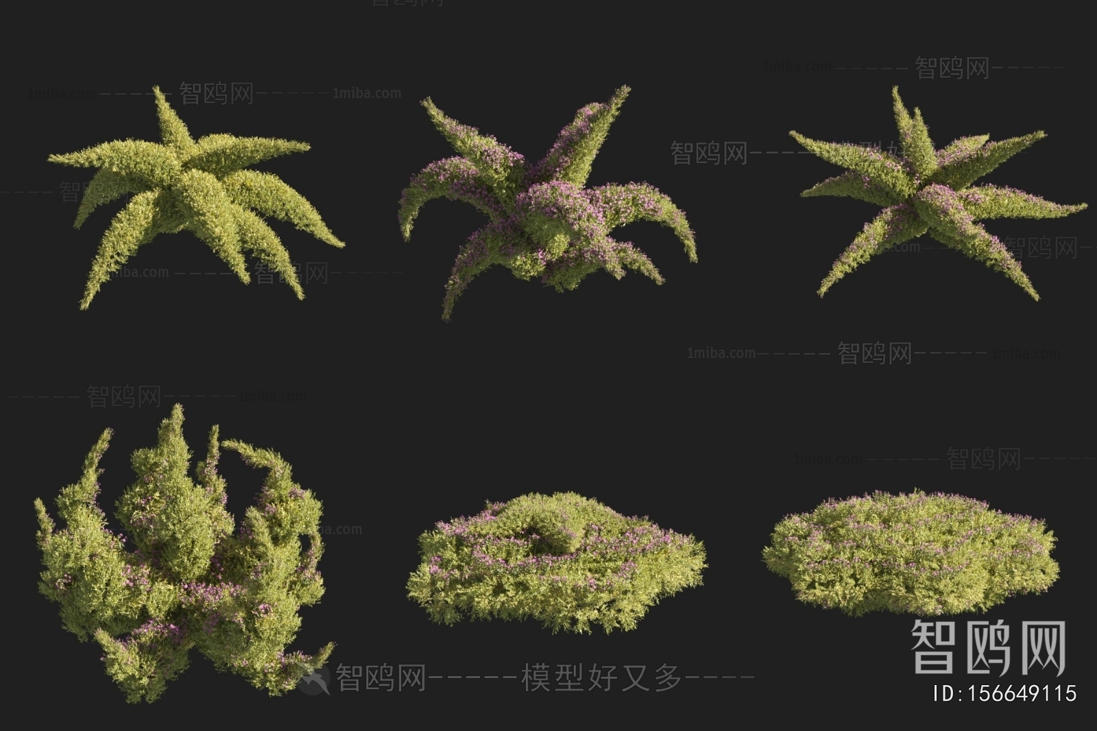 现代垂盆草造型灌木