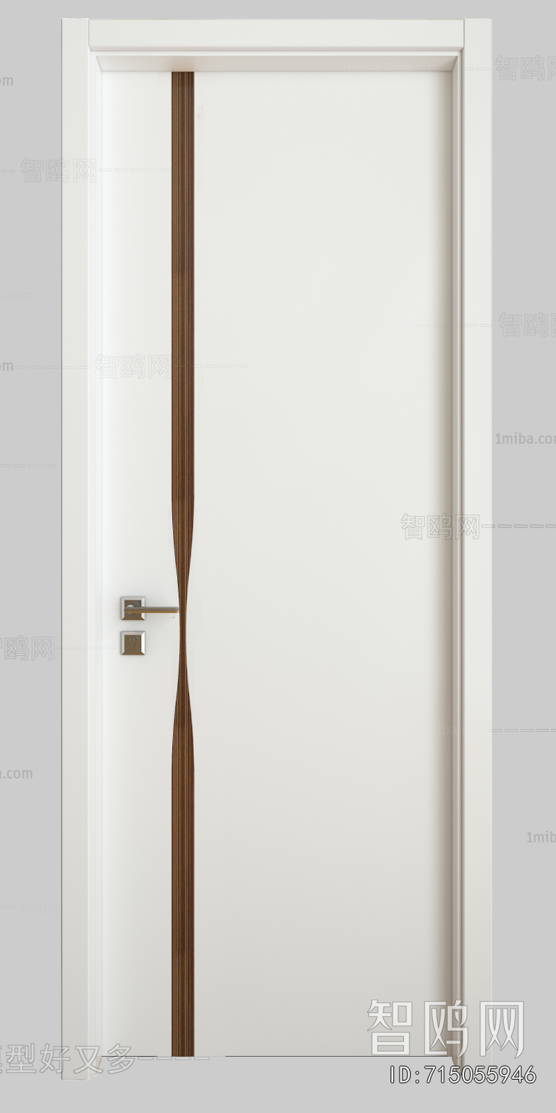 Modern Door