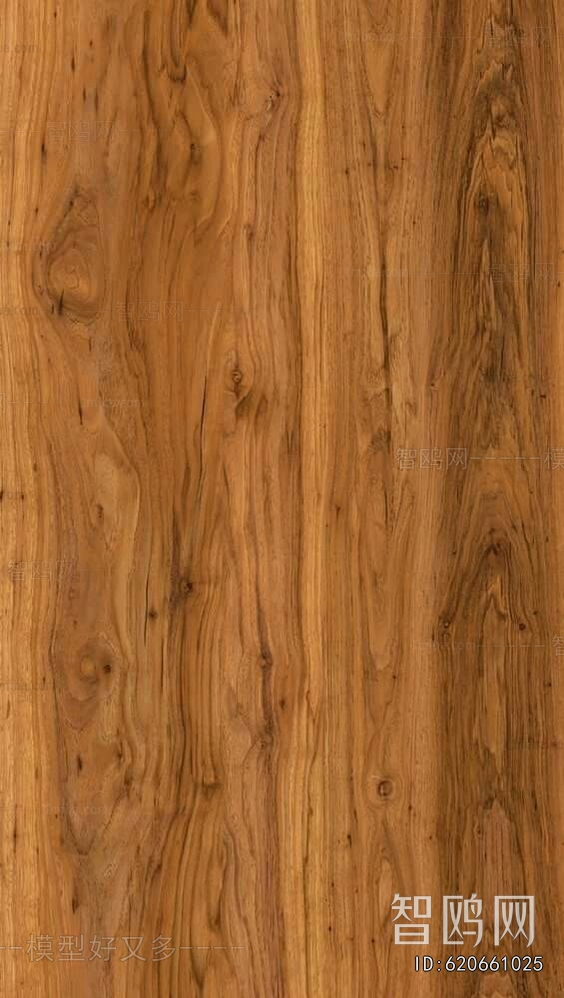 Wood Texture