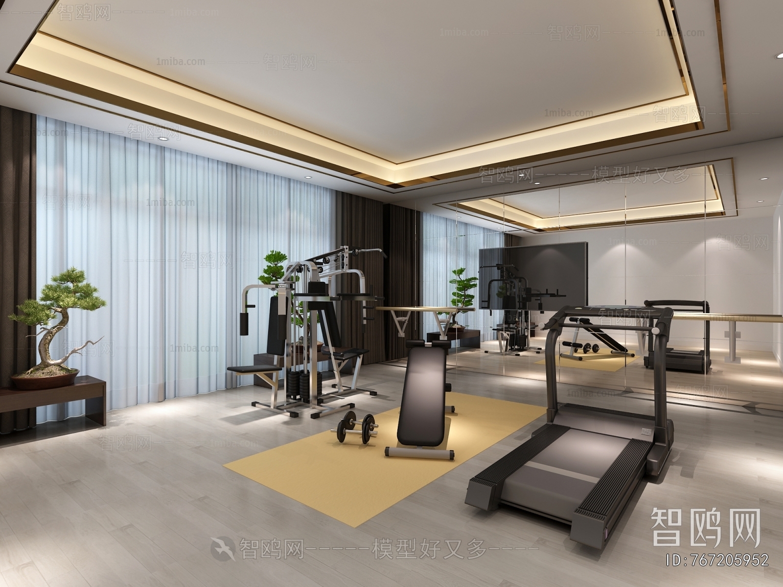 Modern Gym