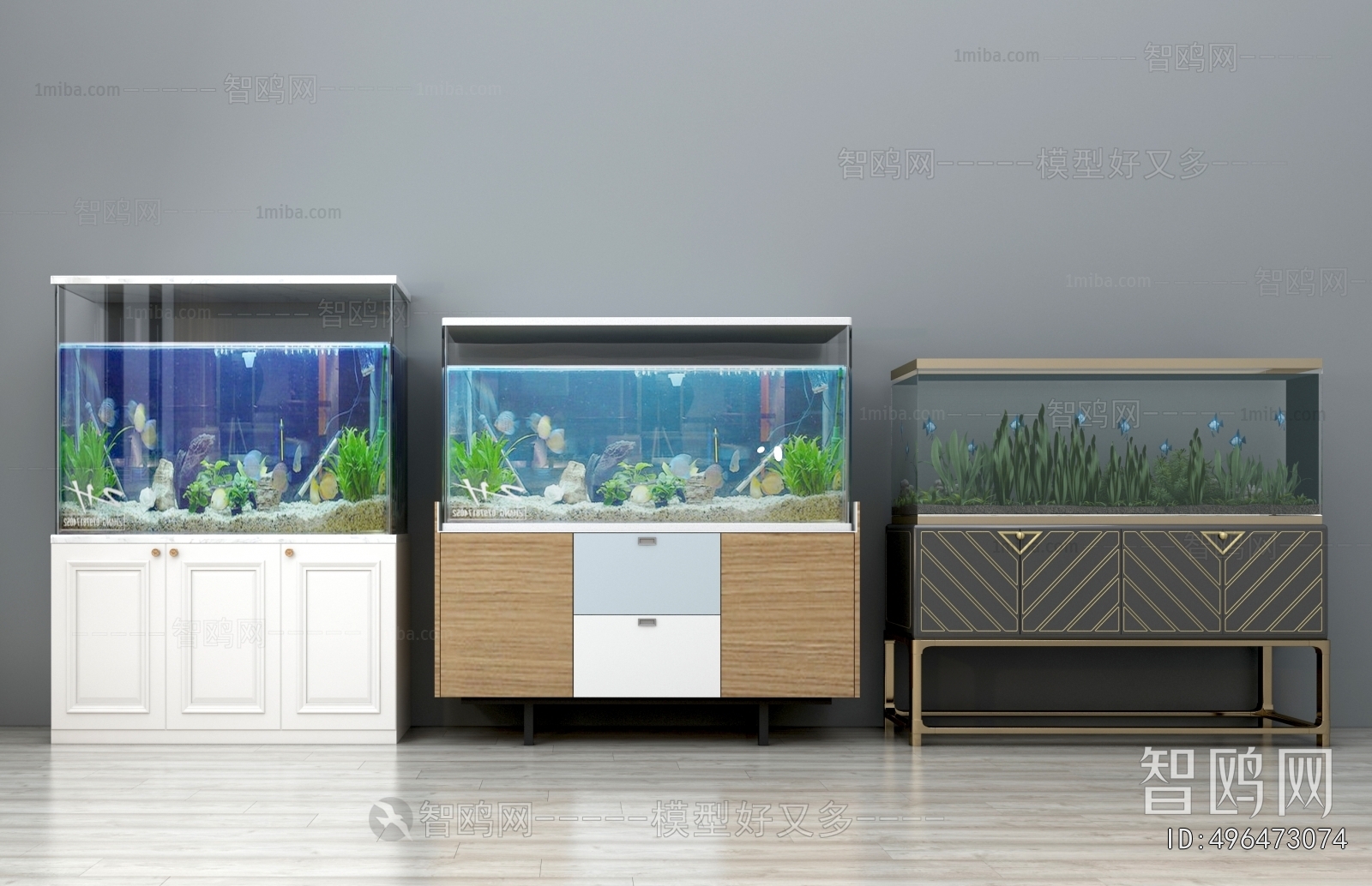 Modern Fish Tank