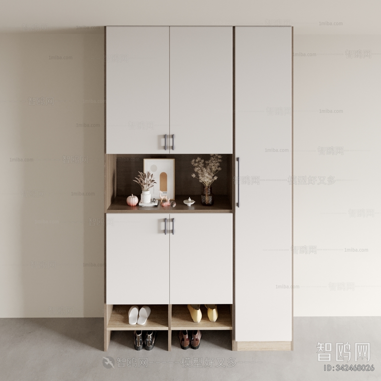 Modern Shoe Cabinet