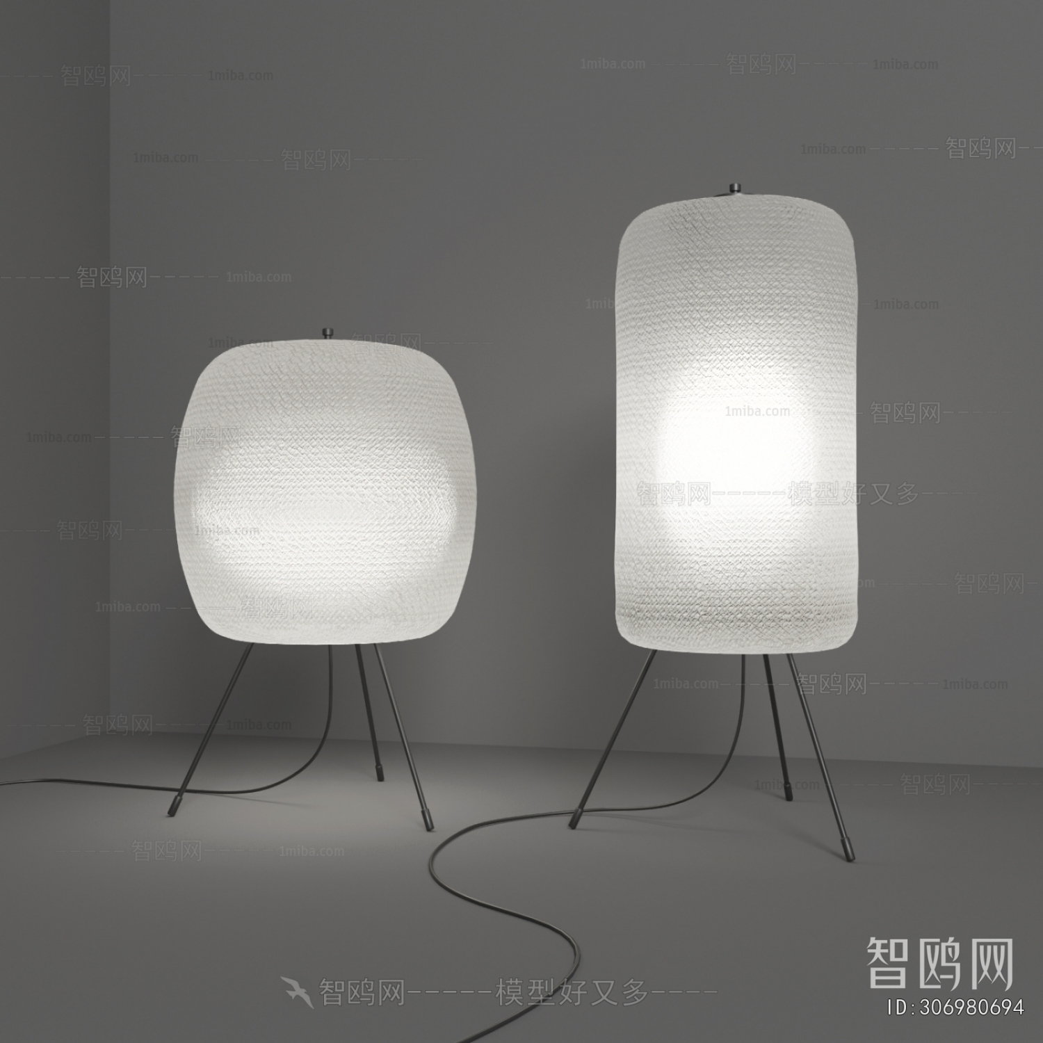 Modern Floor Lamp