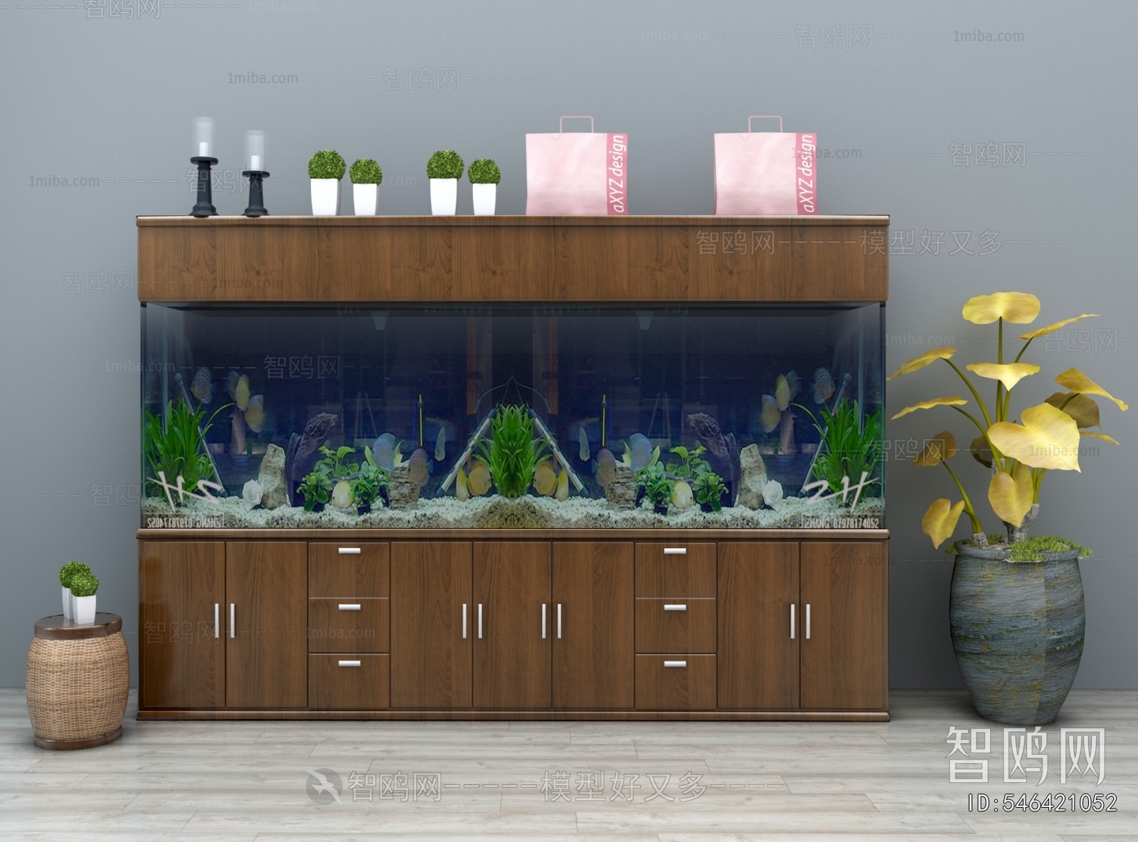 Modern Fish Tank