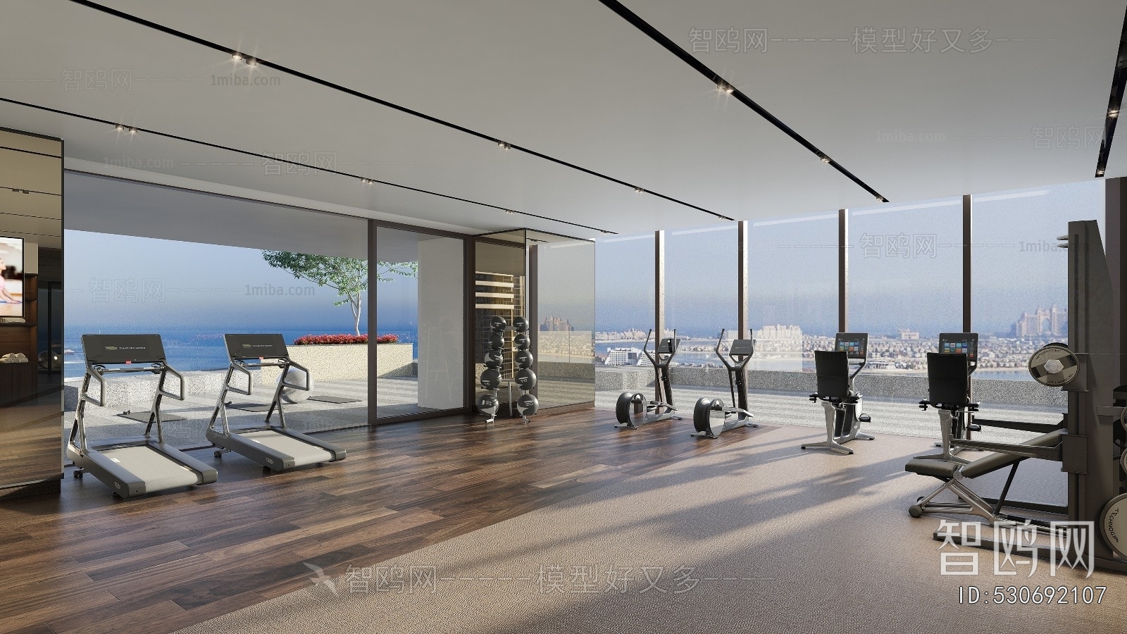 Post Modern Style Home Fitness Room