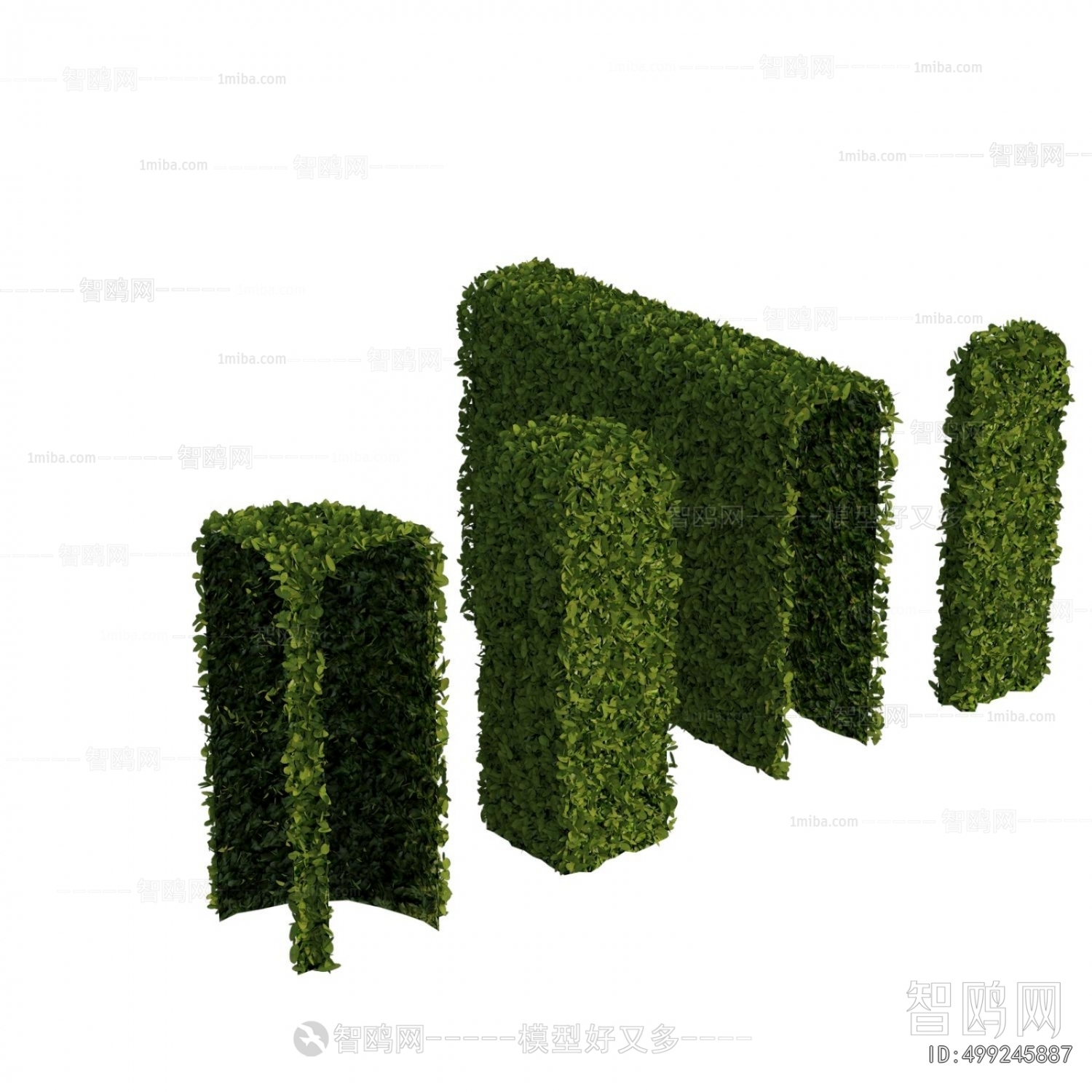 Modern Plant Wall