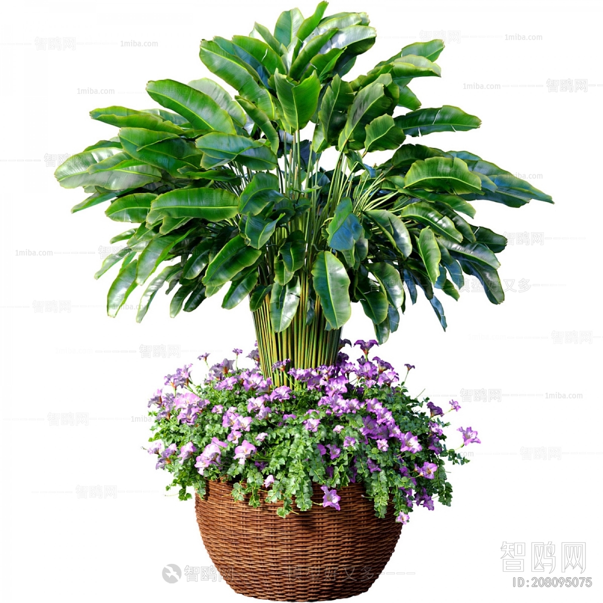 Modern Potted Green Plant