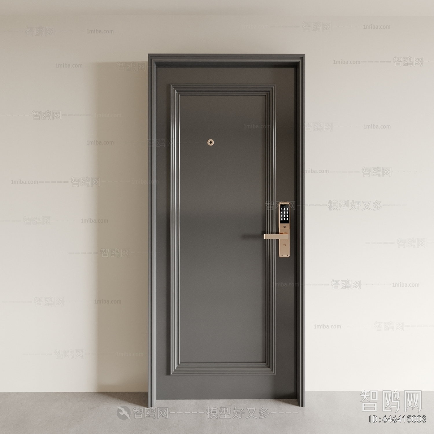 Modern Entrance Door