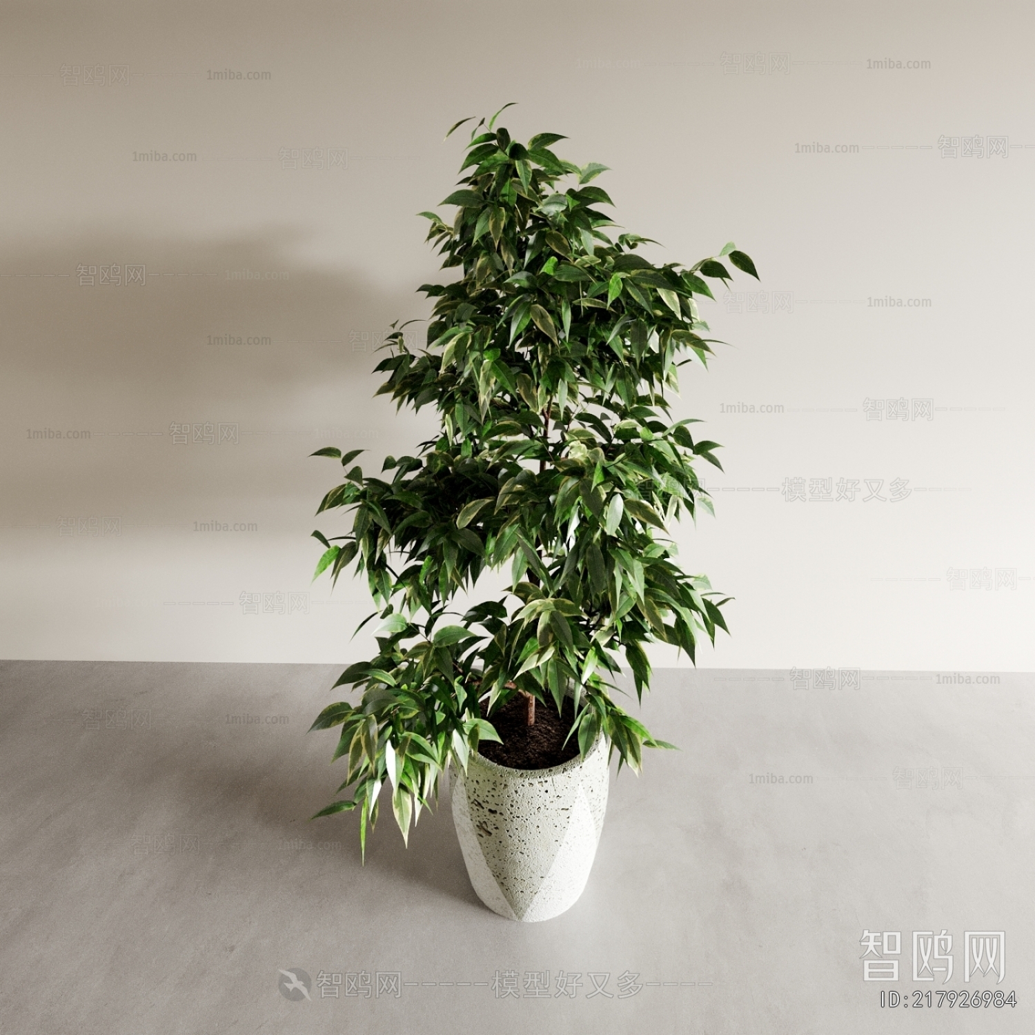 Modern Ground Green Plant Potted Plants