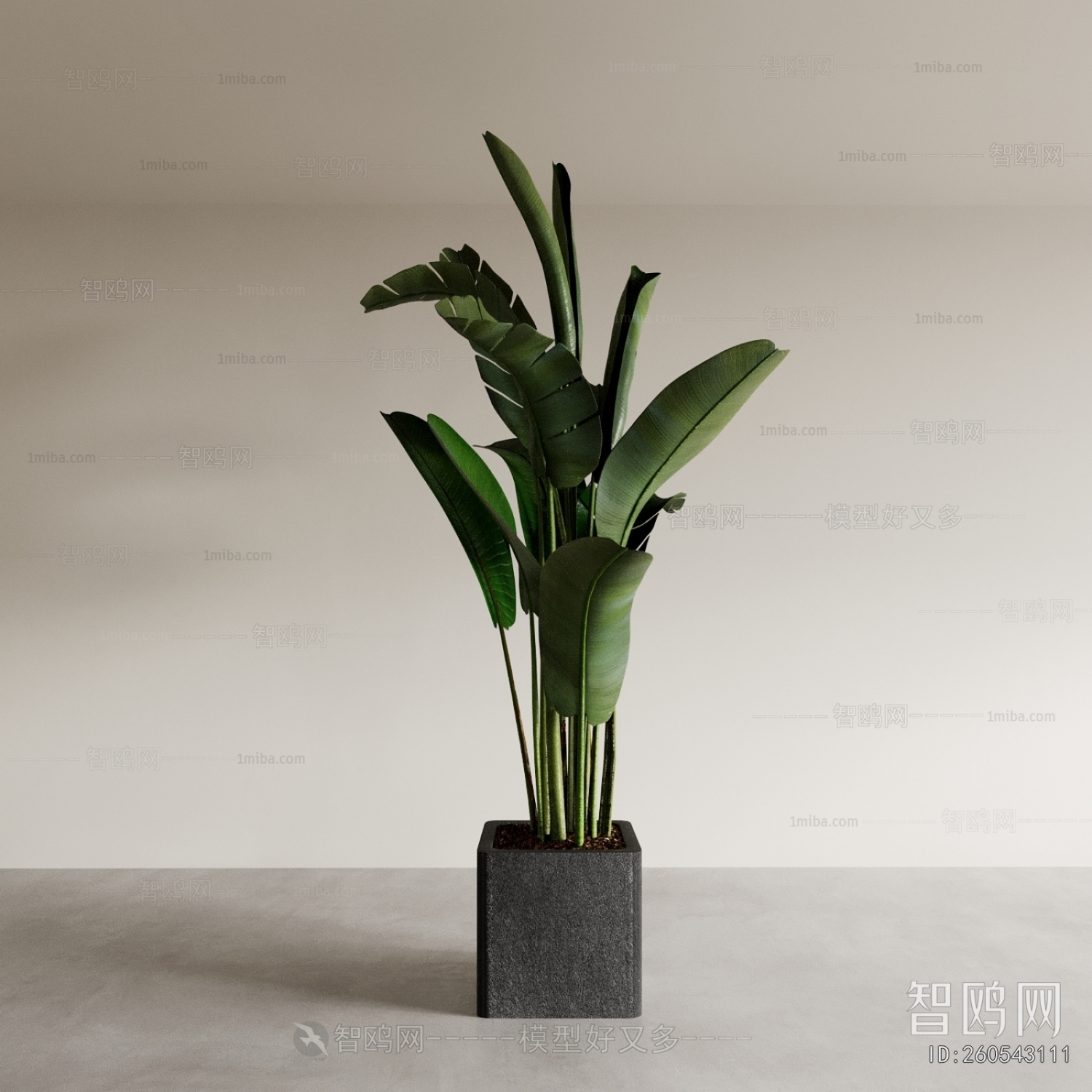 Modern Ground Green Plant Potted Plants