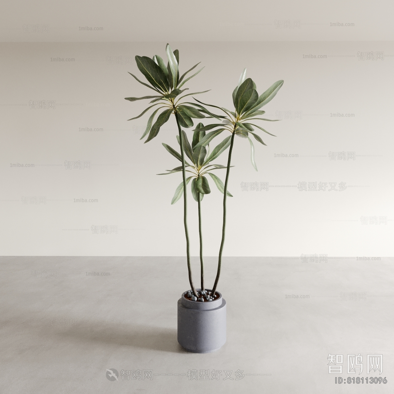 Modern Ground Green Plant Potted Plants