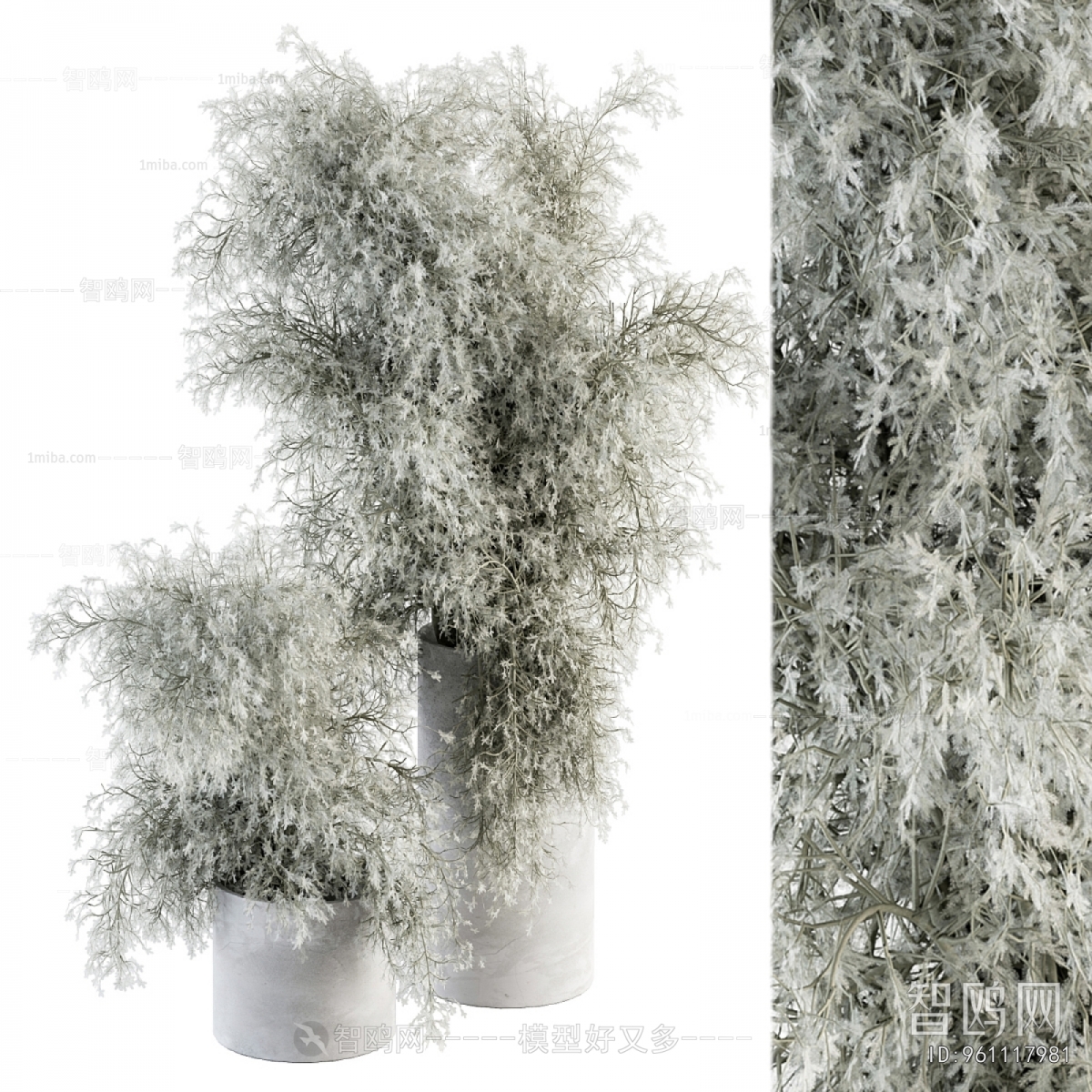 Modern Ground Green Plant Potted Plants