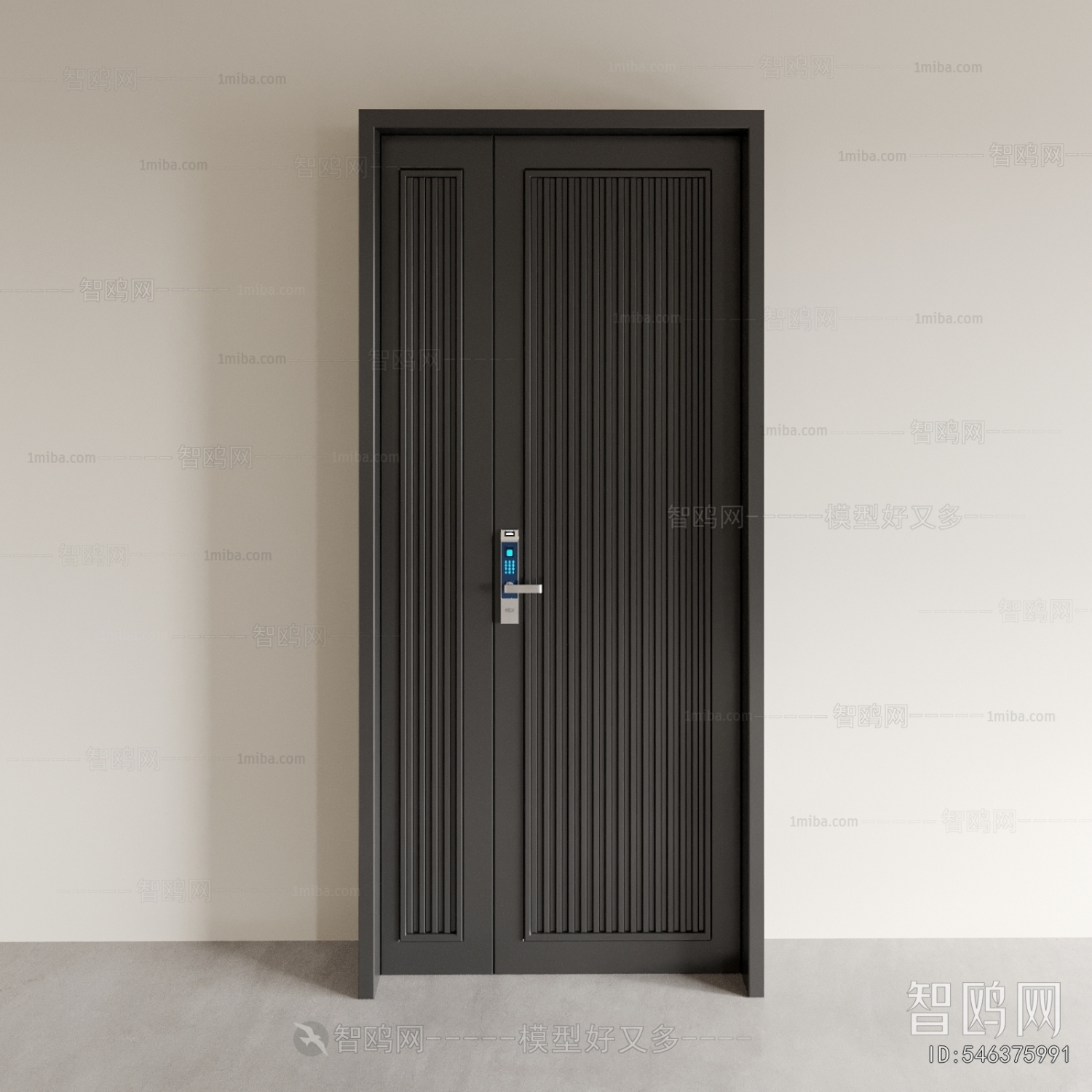 Modern Door