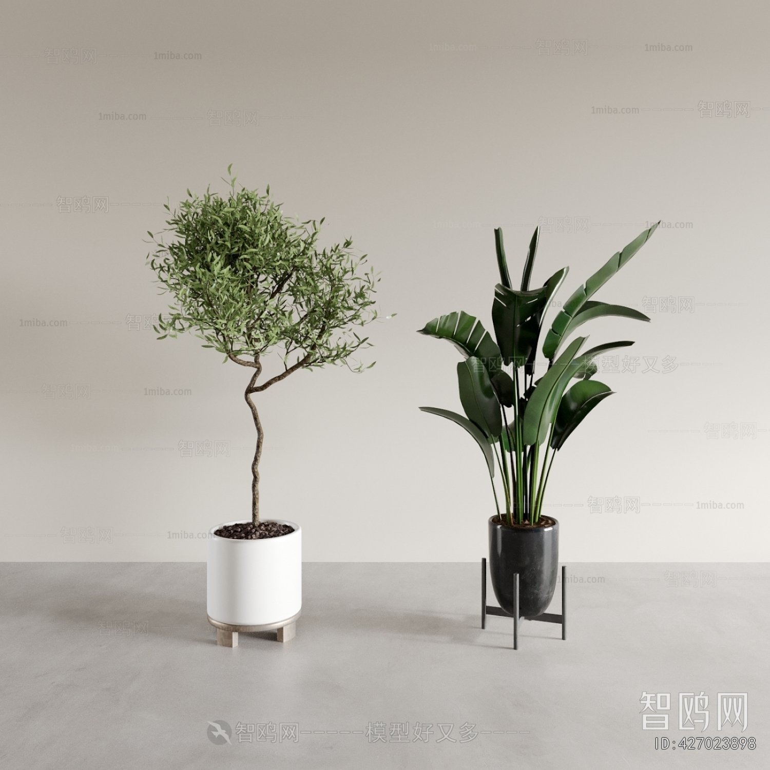 Modern Potted Green Plant