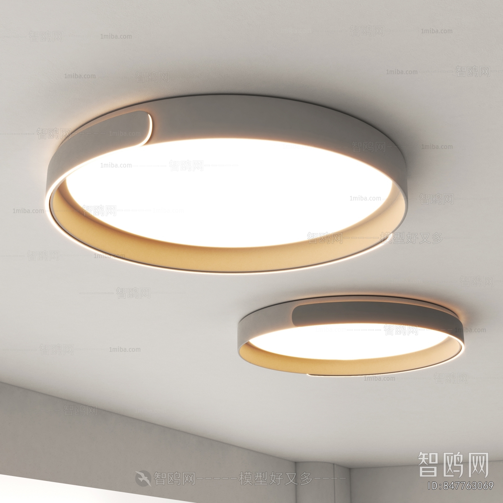 Modern Ceiling Ceiling Lamp