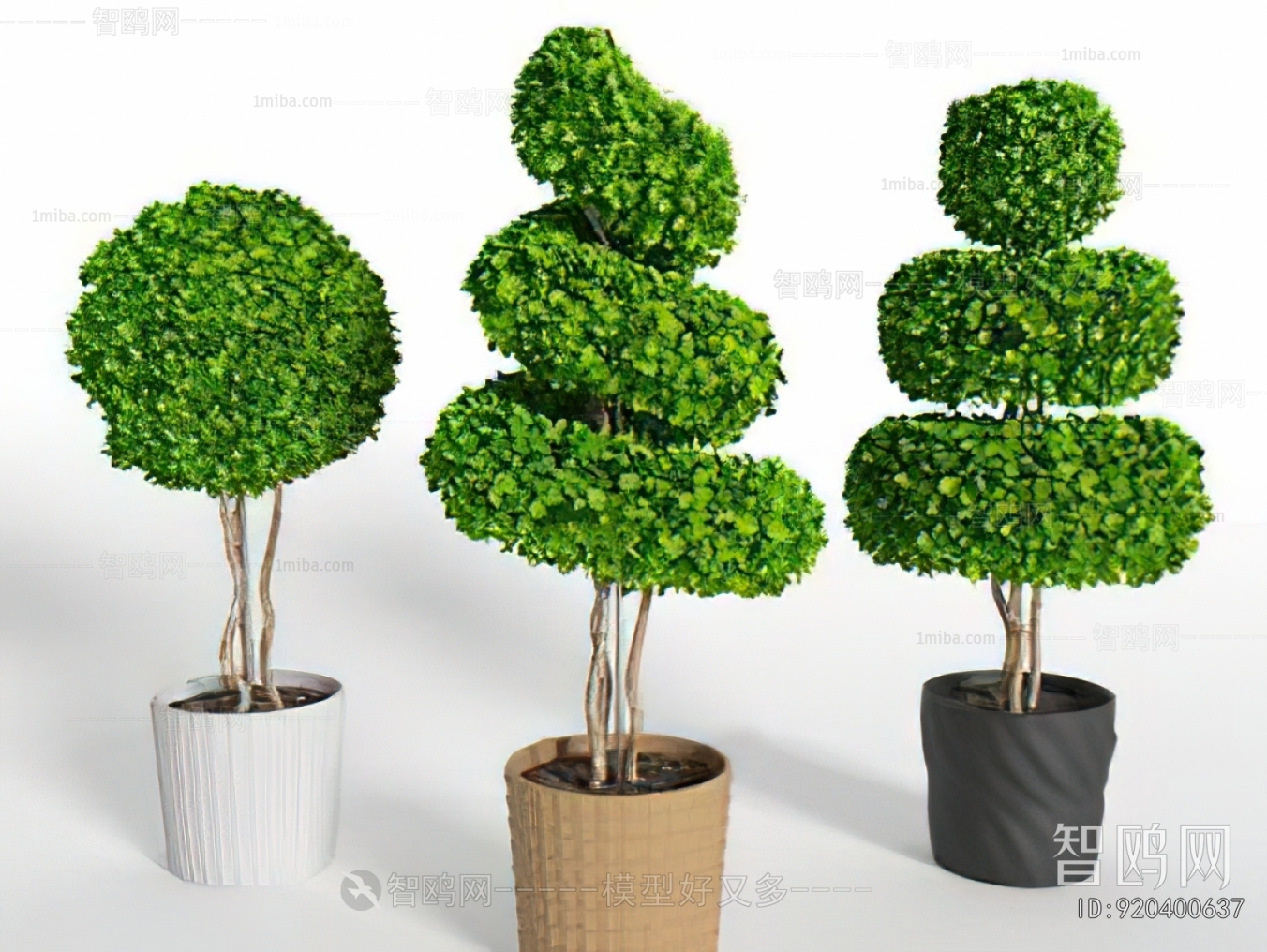 Modern Ground Green Plant Potted Plants