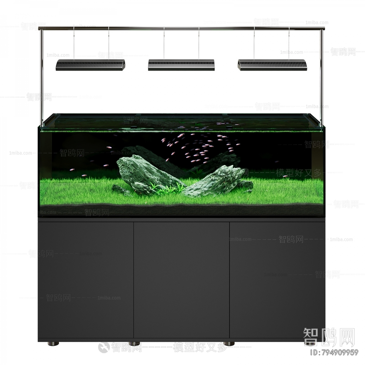 Modern Fish Tank