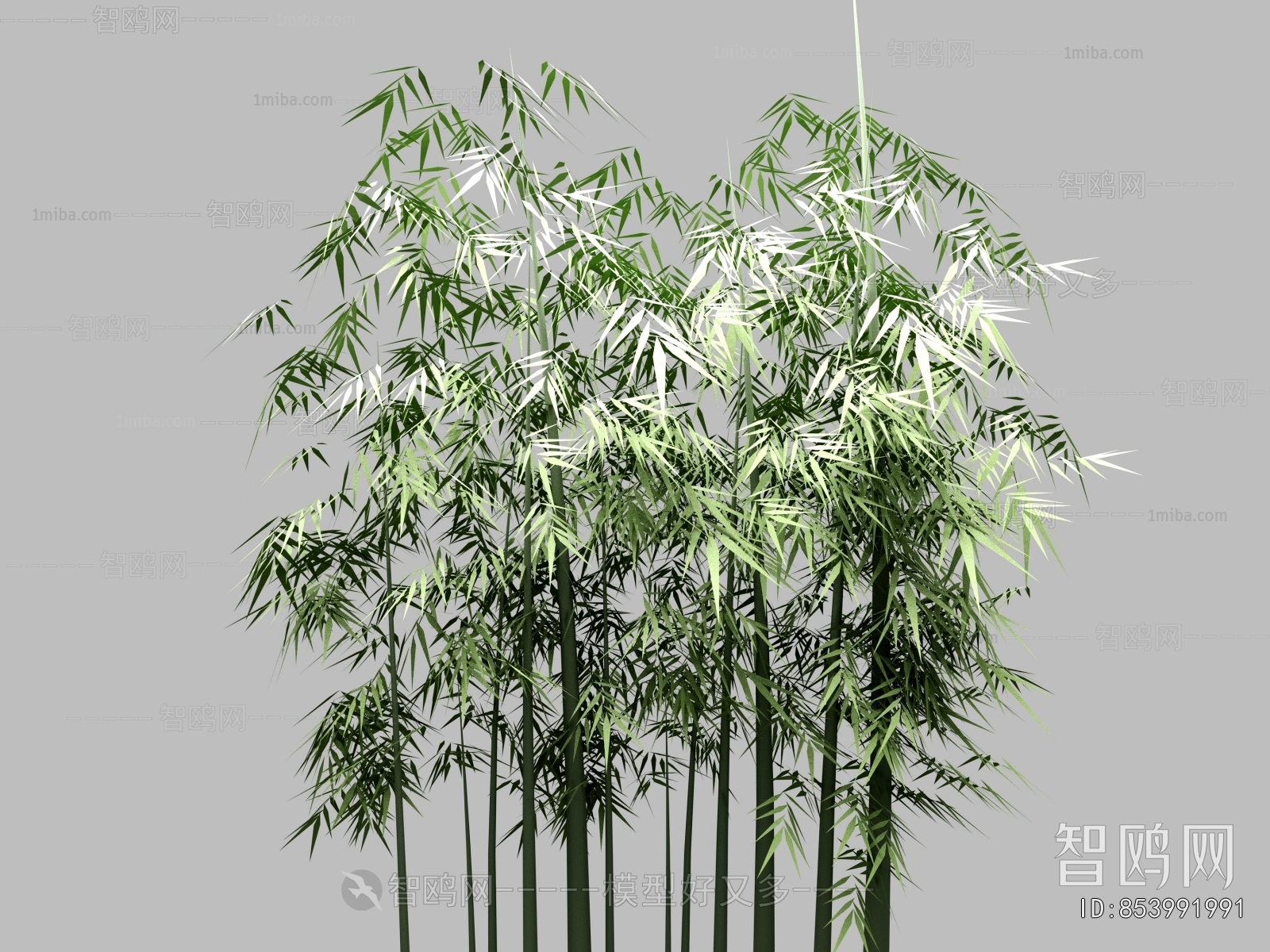 Modern Bamboo