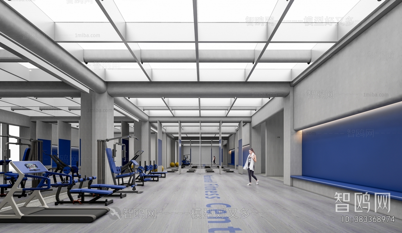 Modern Gym