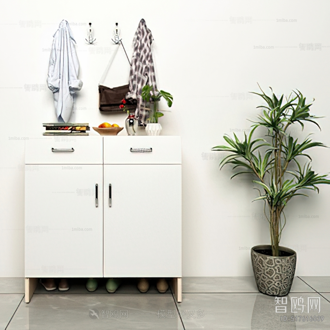 Modern Shoe Cabinet