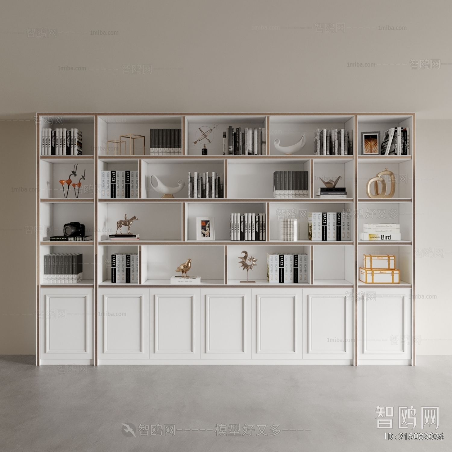 Modern Bookcase