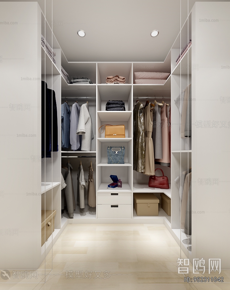 Modern Clothes Storage Area