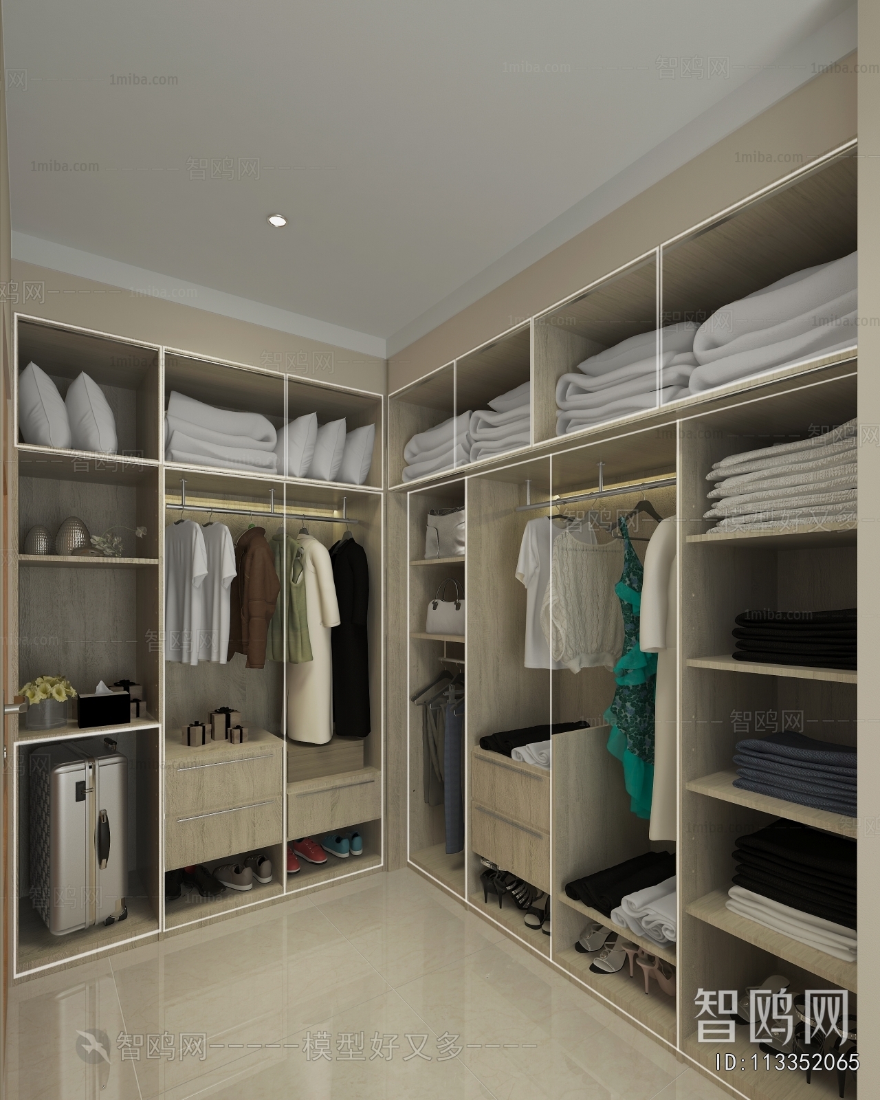 Modern Clothes Storage Area