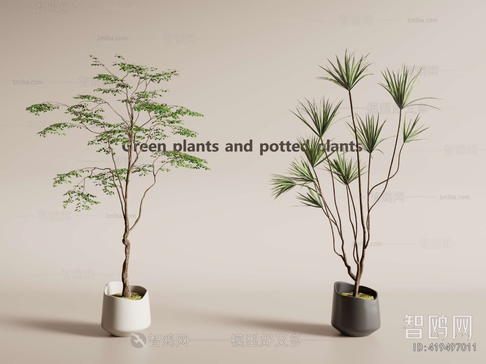 Modern Ground Green Plant Potted Plants