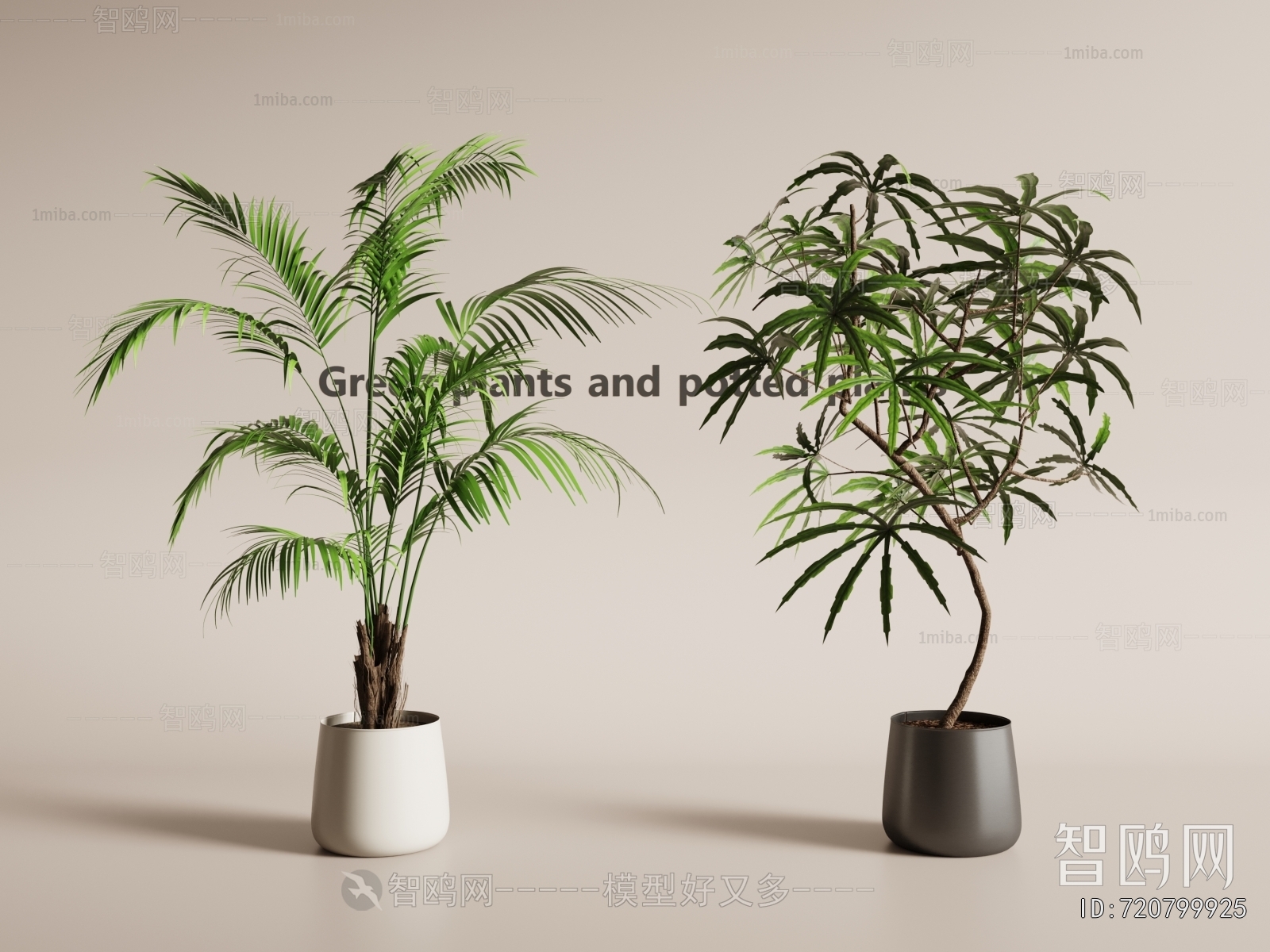 Modern Ground Green Plant Potted Plants