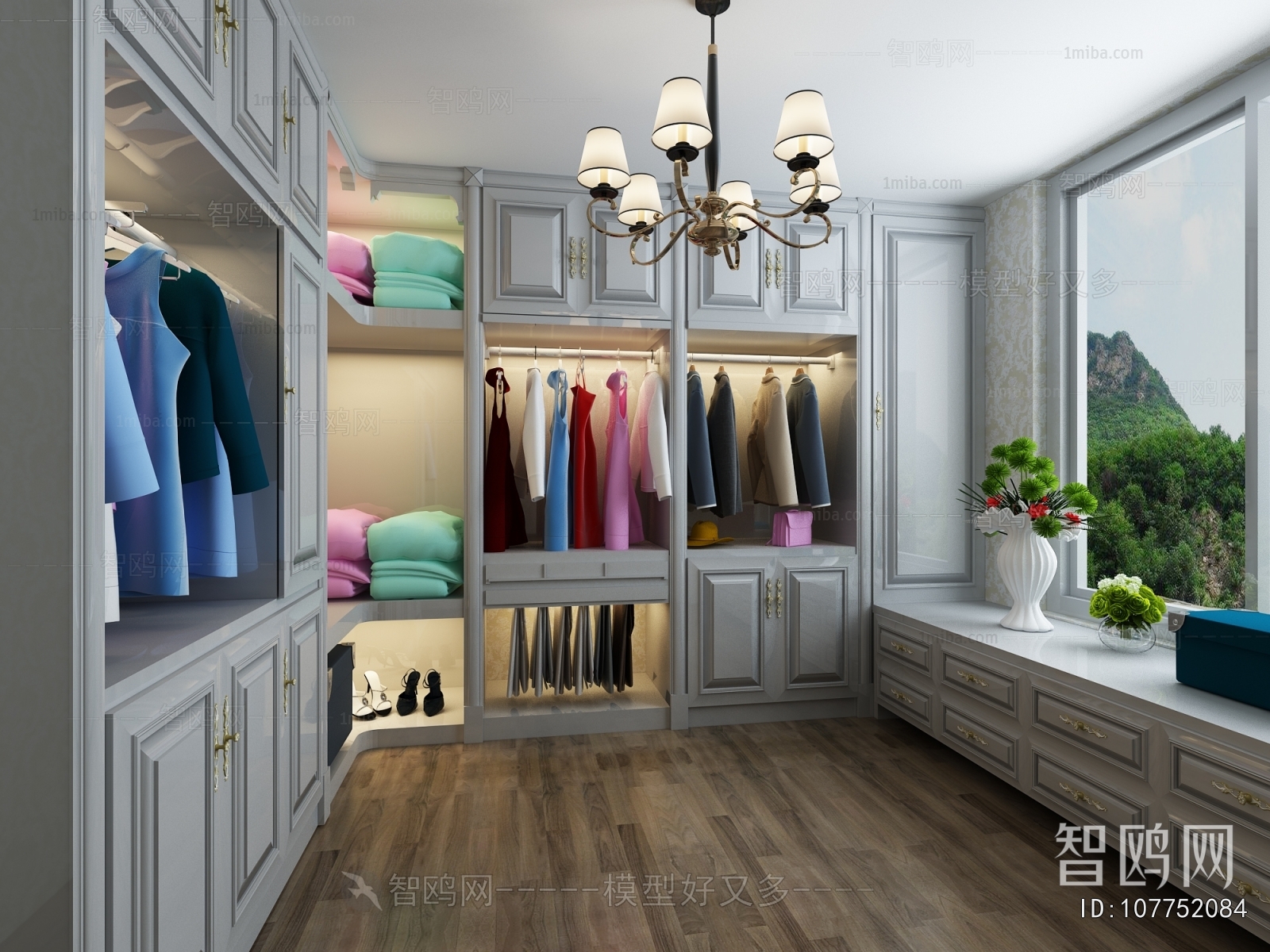 European Style Clothes Storage Area