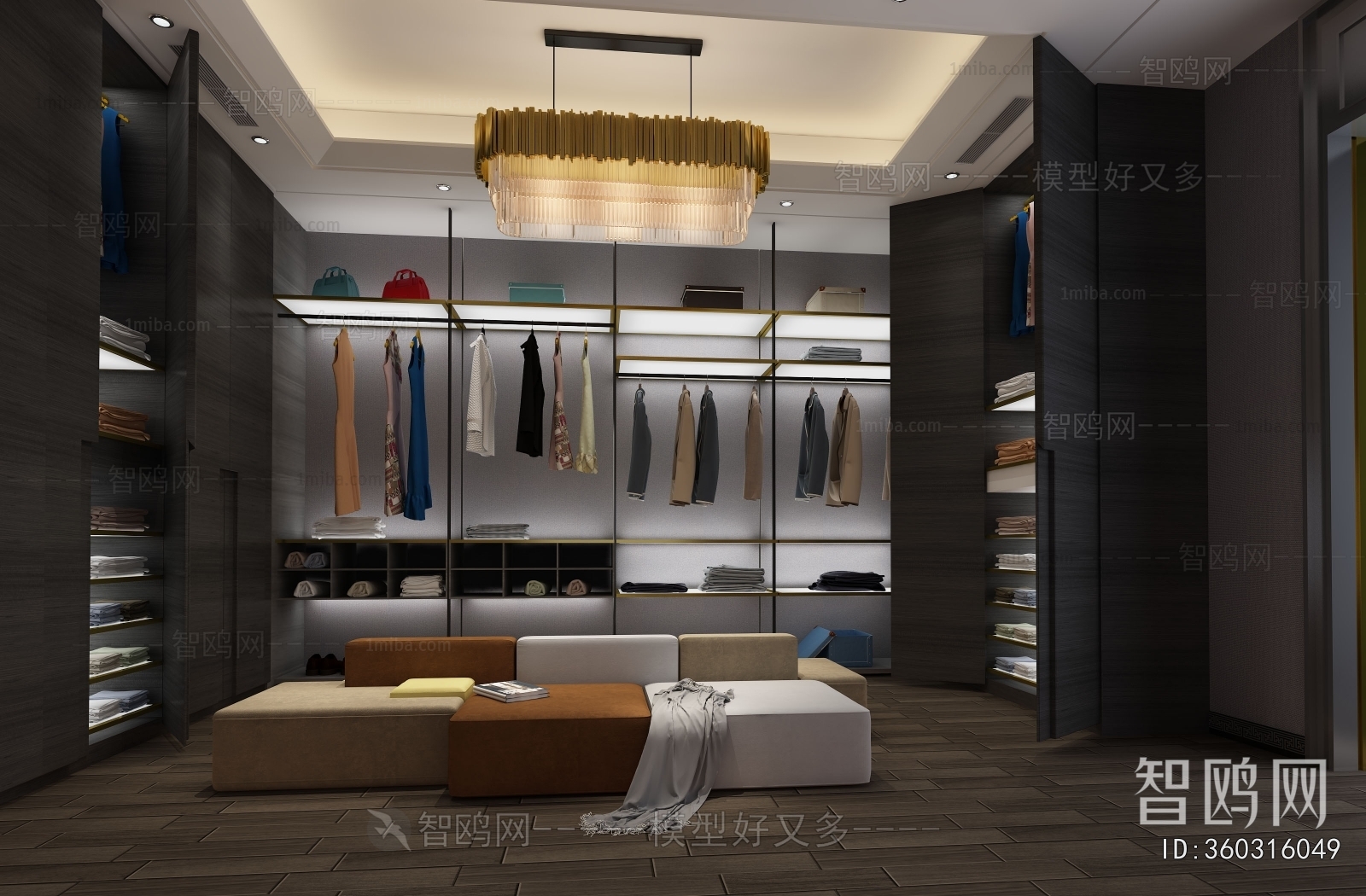 Modern Clothes Storage Area