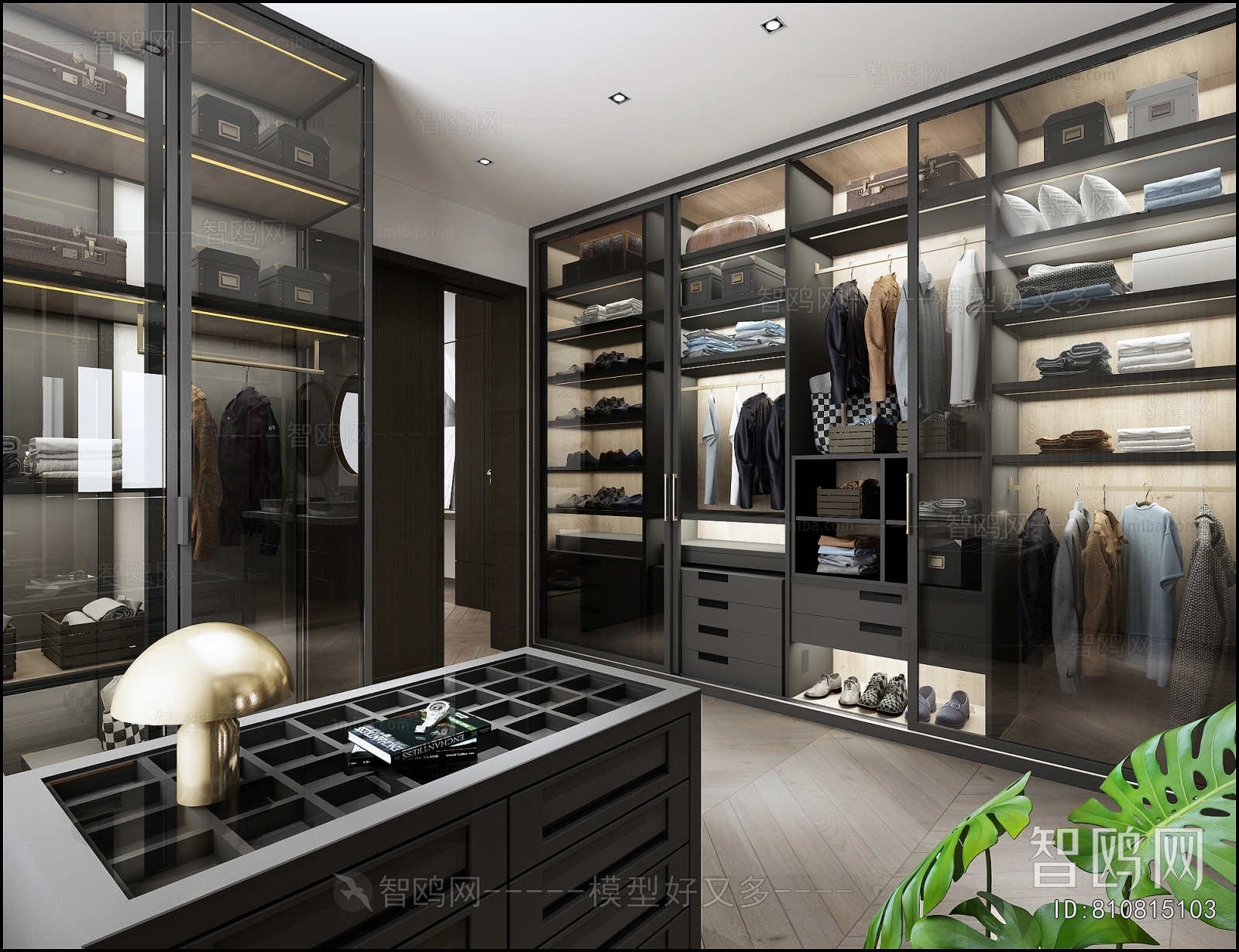 Modern Clothes Storage Area