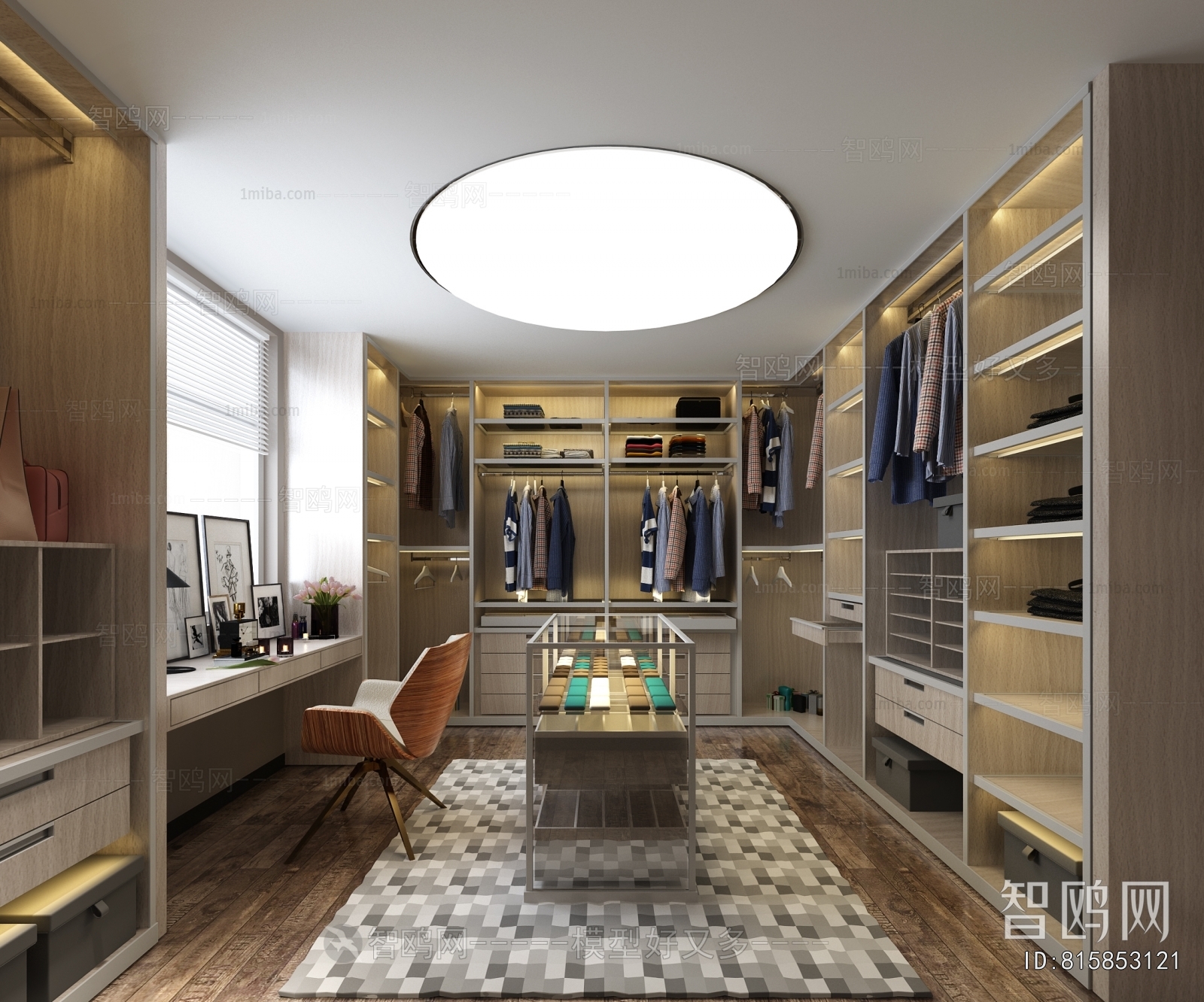 Modern Clothes Storage Area