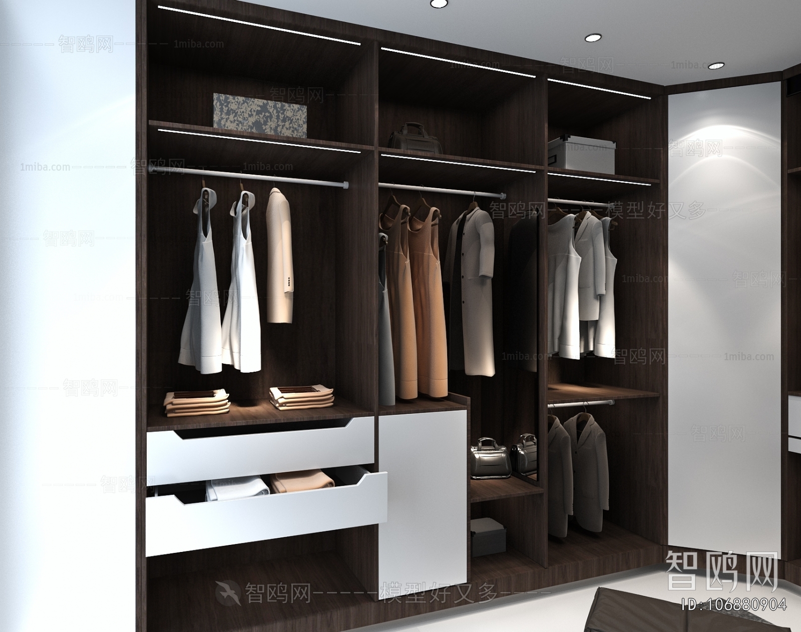 Modern Clothes Storage Area