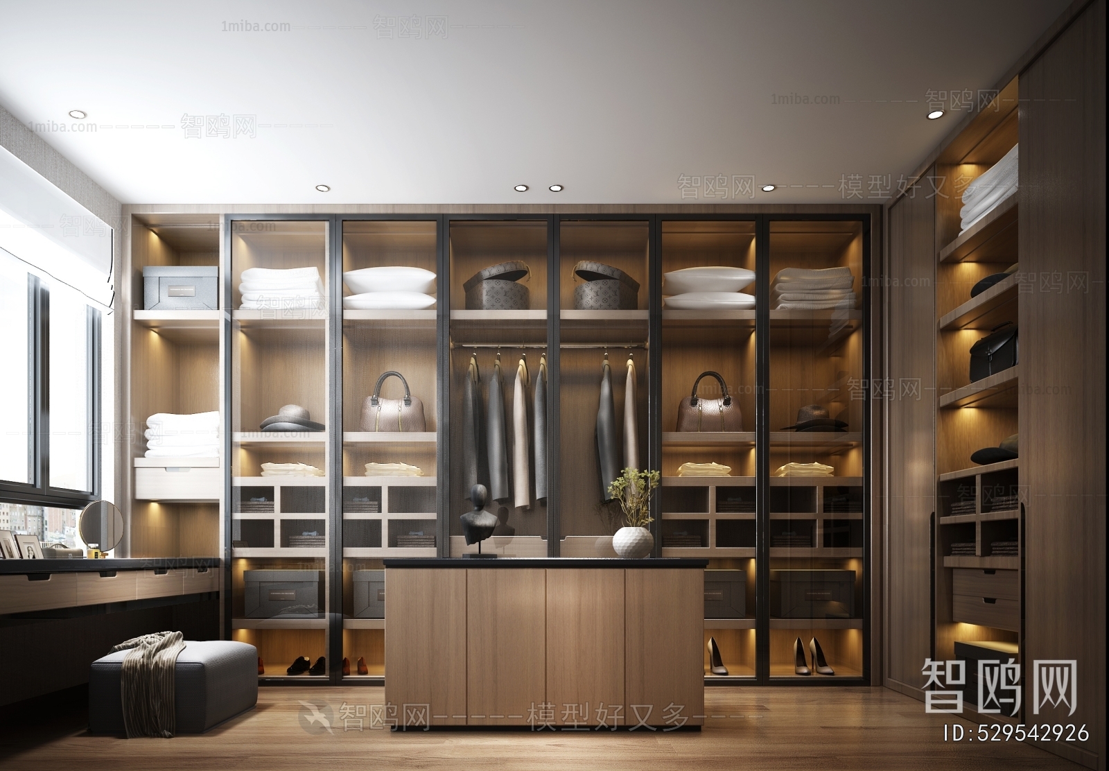 Modern Clothes Storage Area