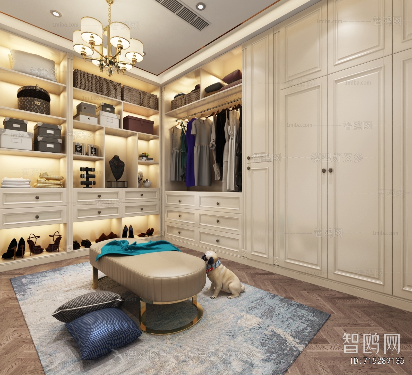 Simple European Style Clothes Storage Area