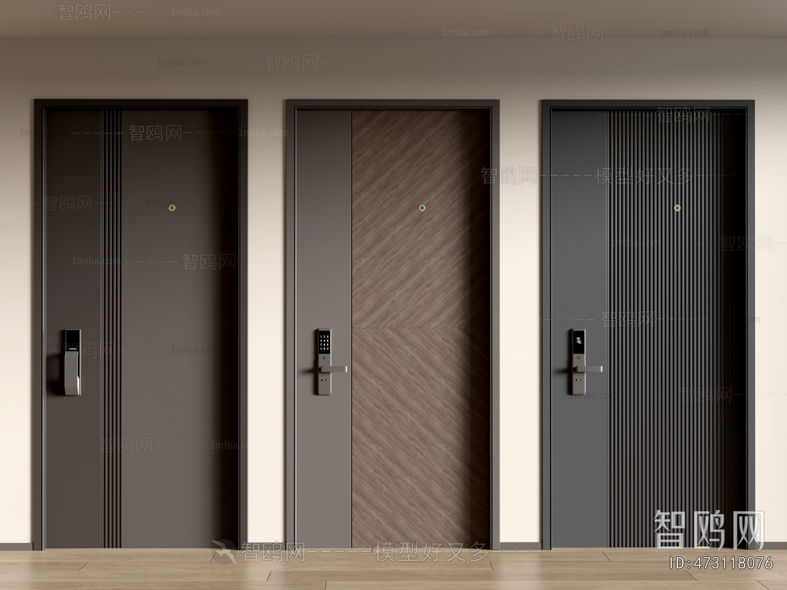 Modern Entrance Door