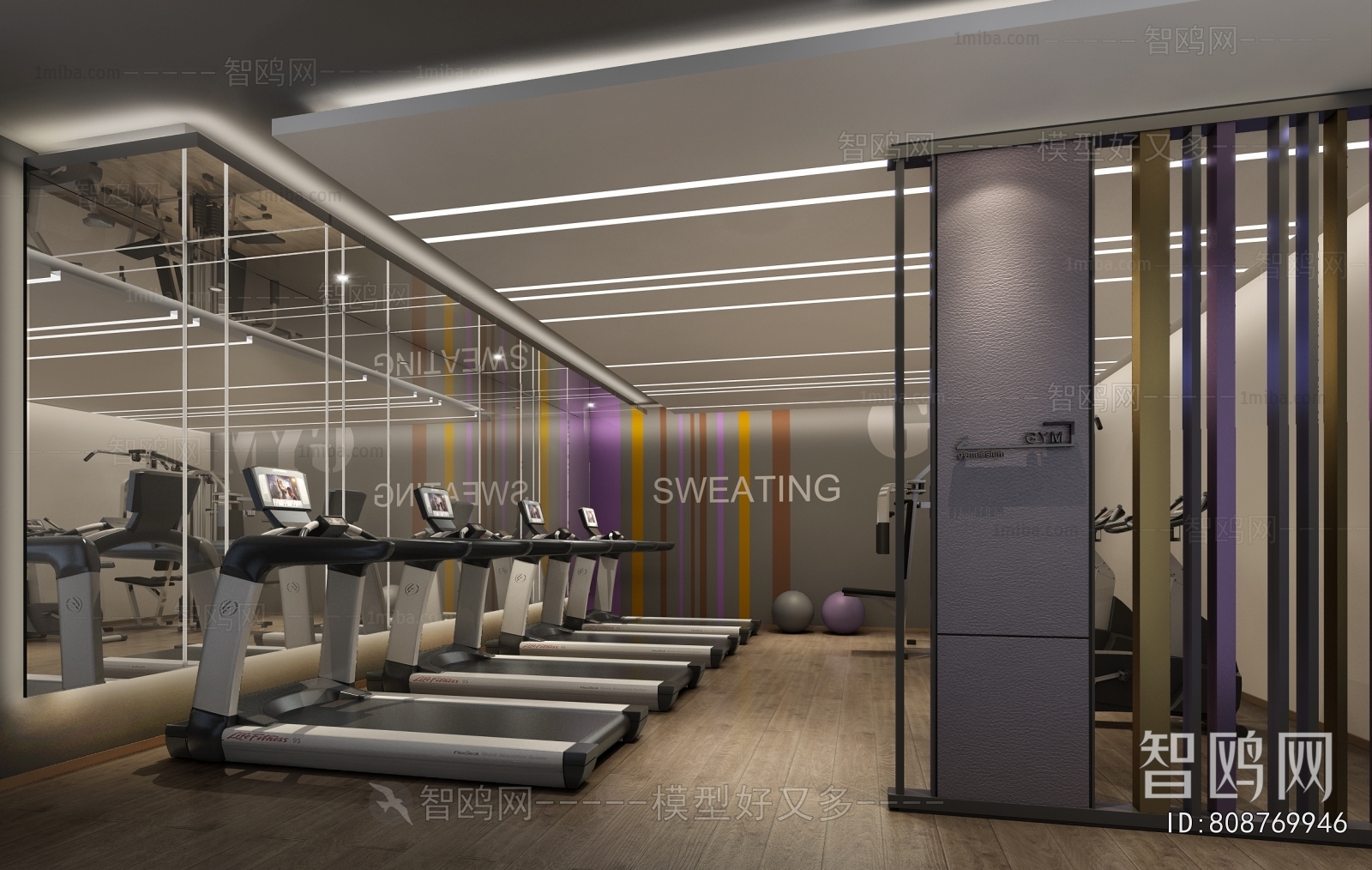 Modern Gym