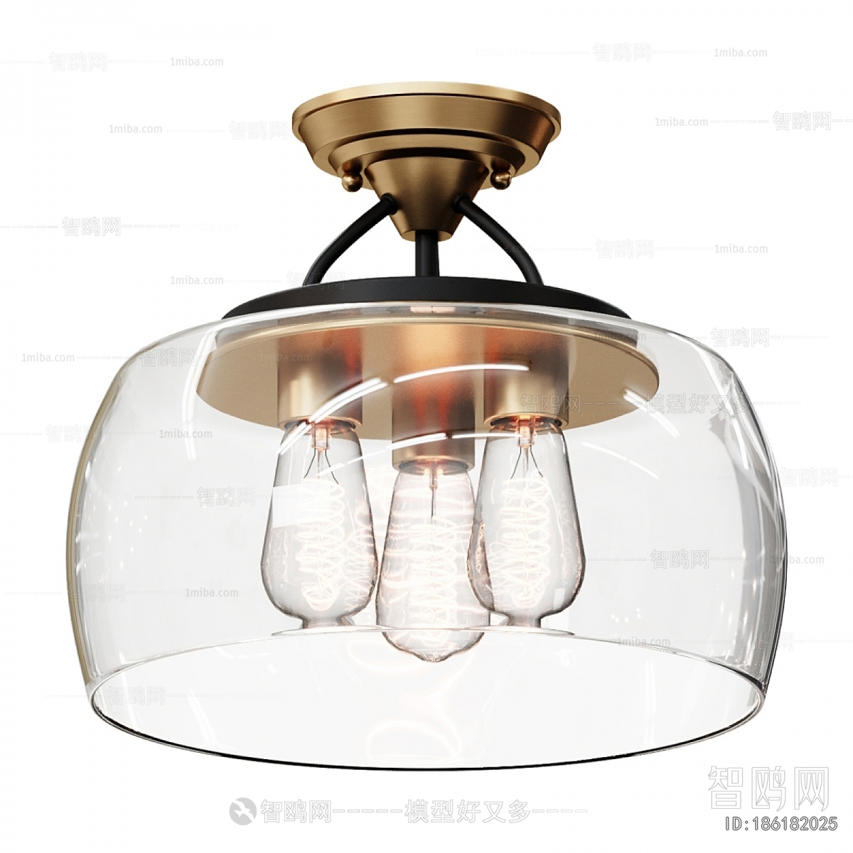 Modern Ceiling Ceiling Lamp