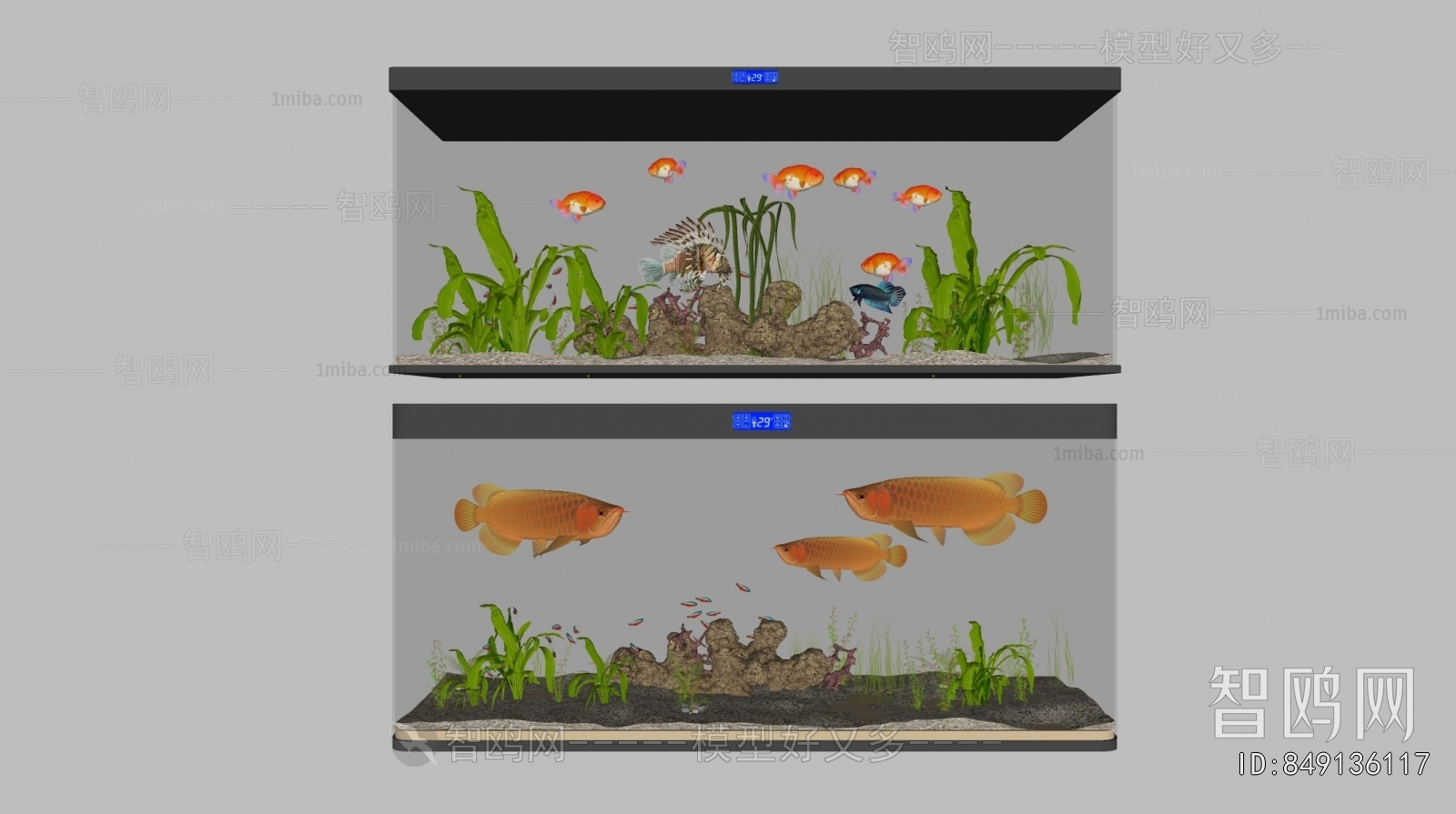 Modern Fish Tank