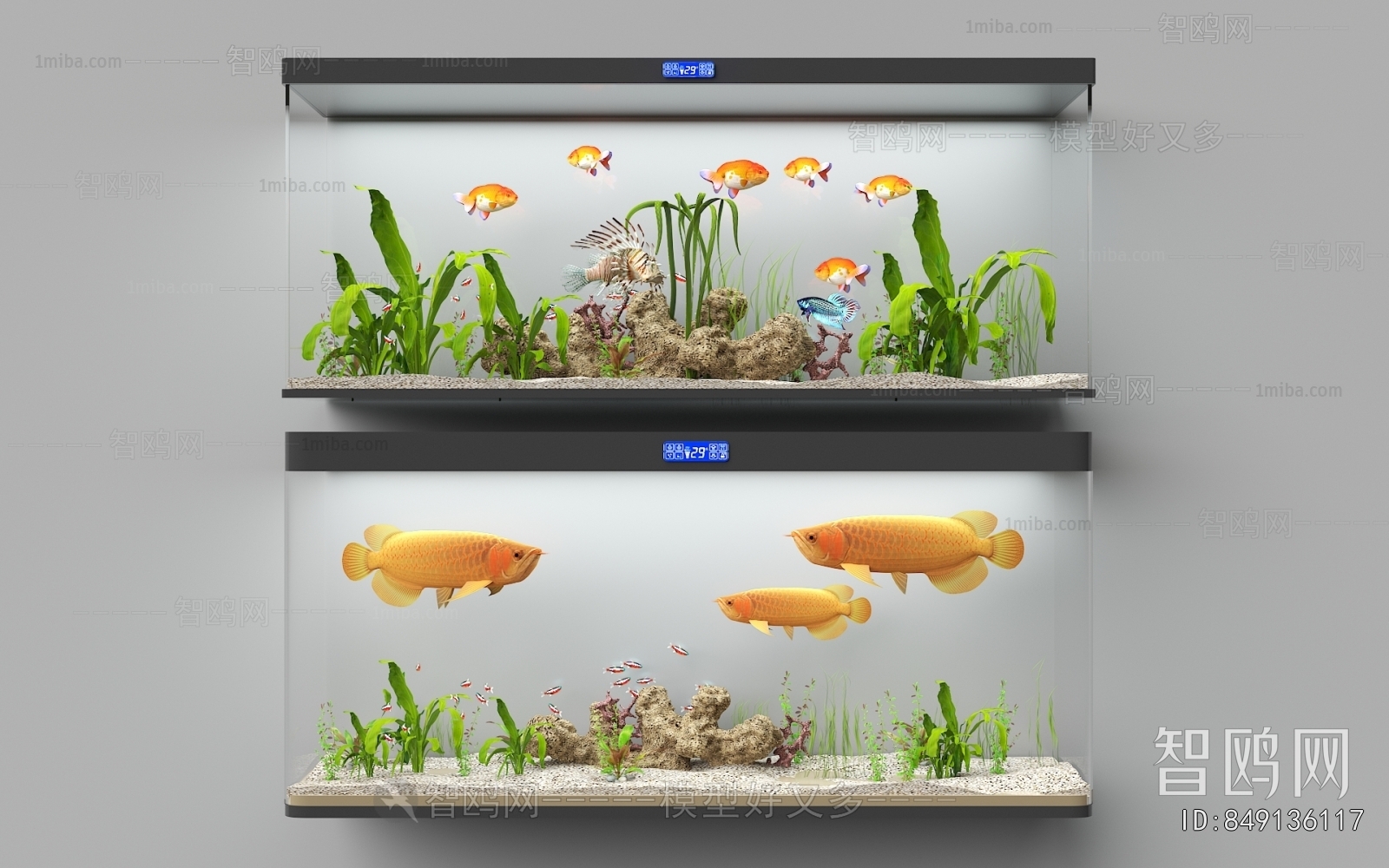 Modern Fish Tank