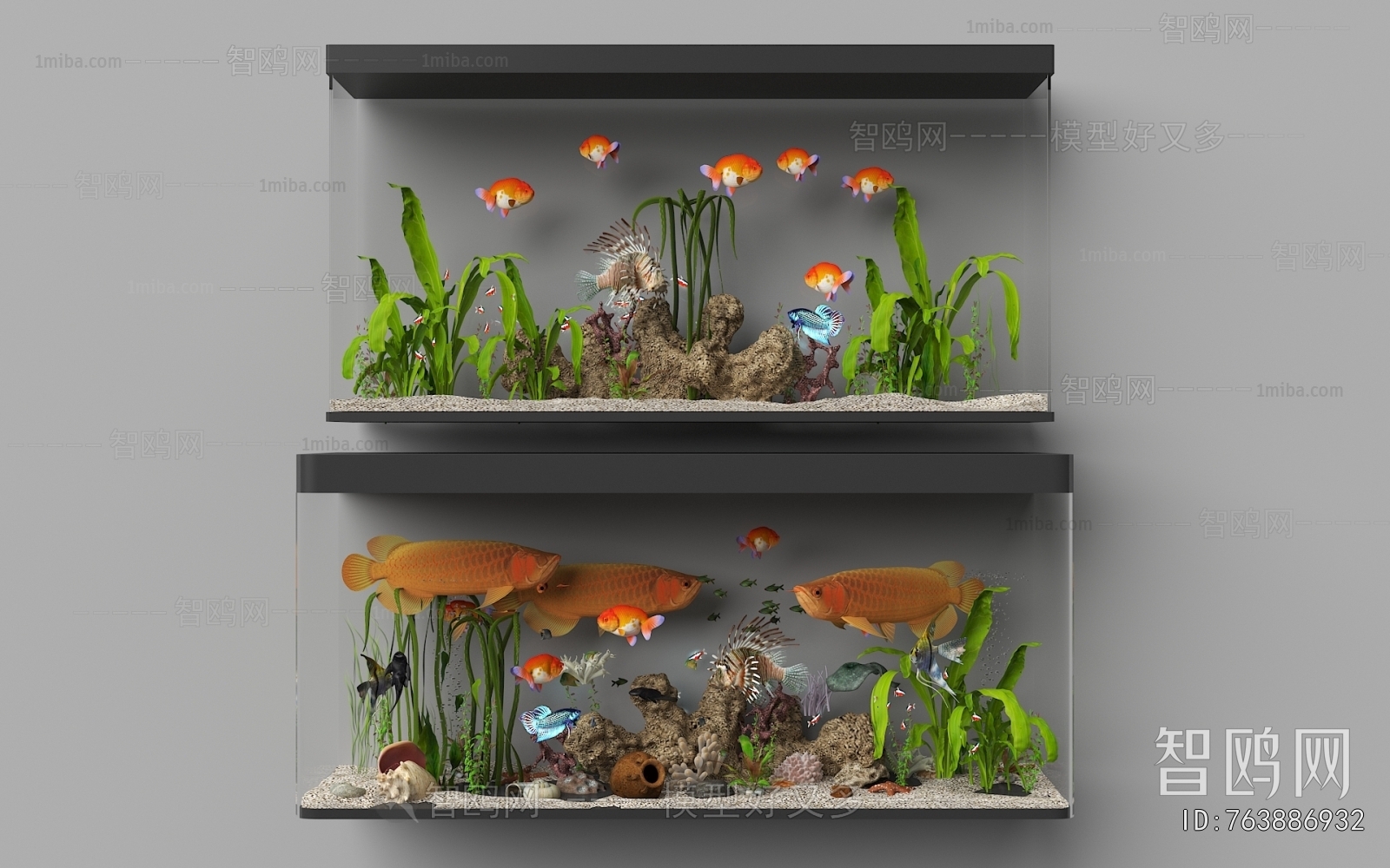 Modern Fish Tank