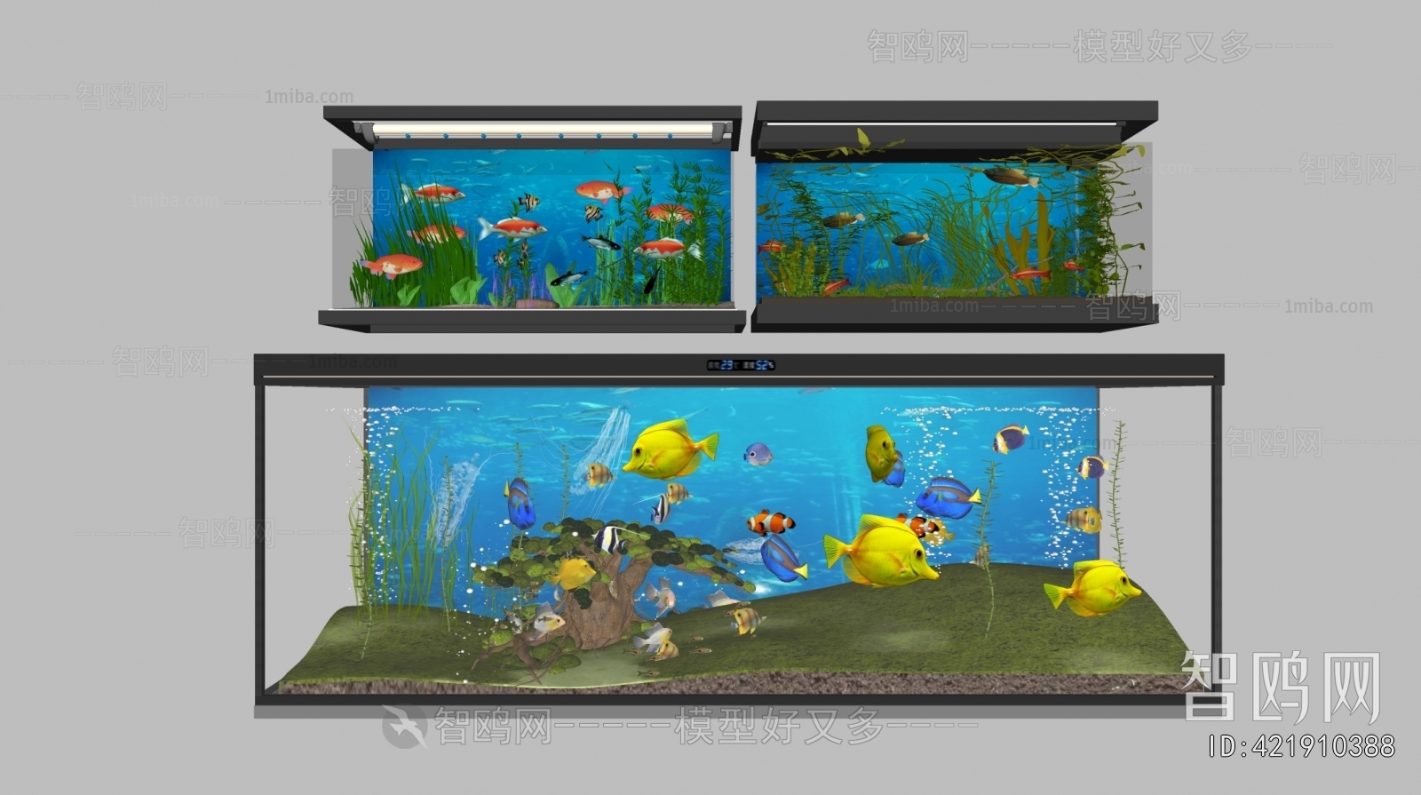 Modern Fish Tank