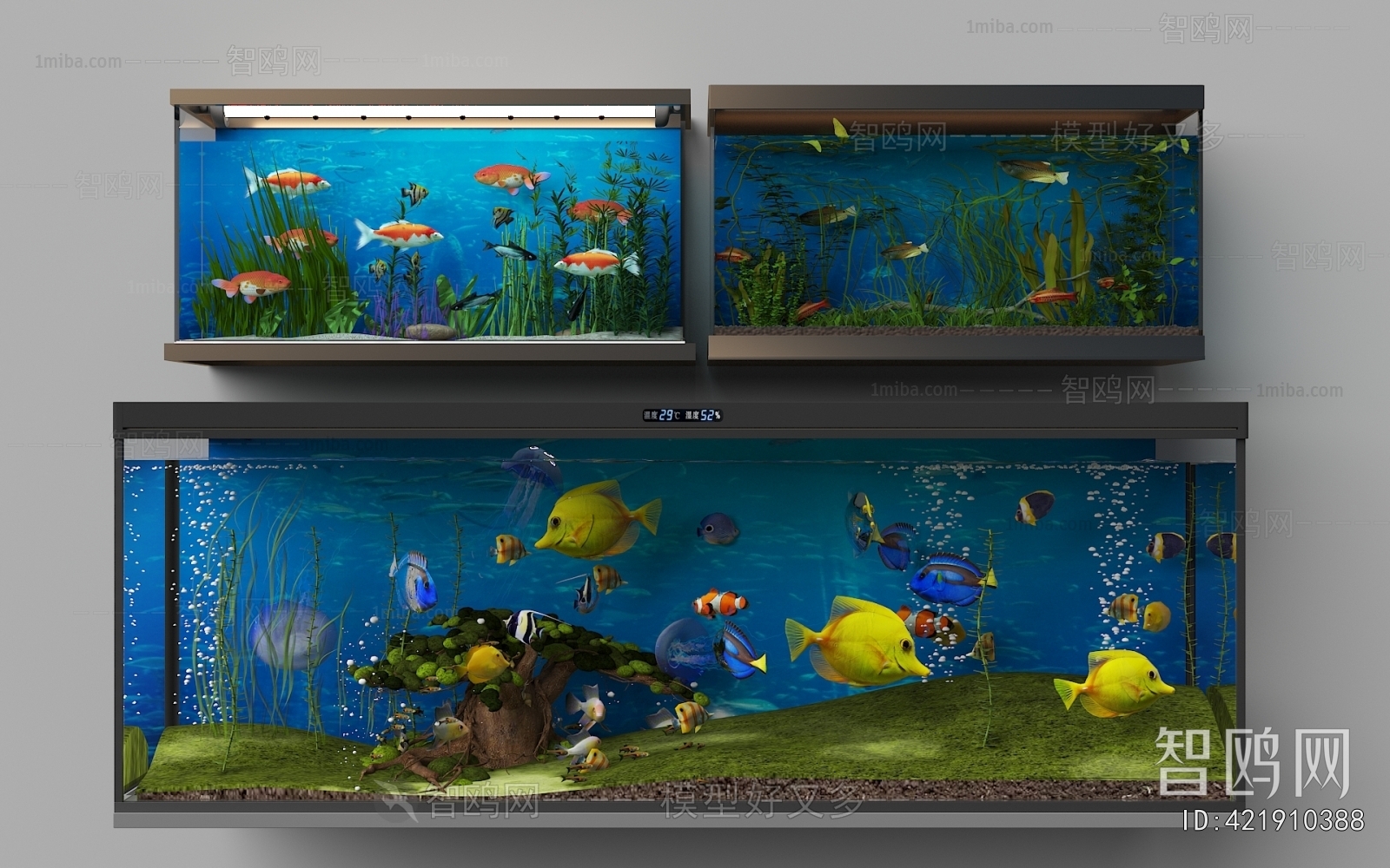 Modern Fish Tank