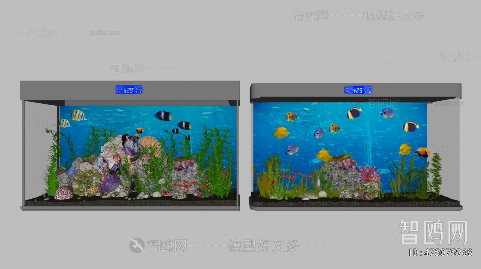 Modern Fish Tank