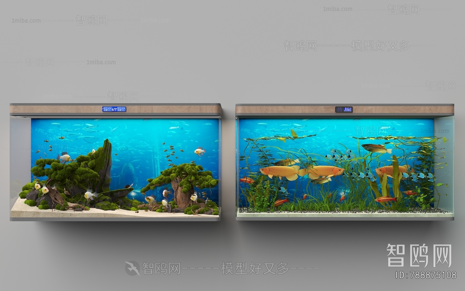 Modern Fish Tank