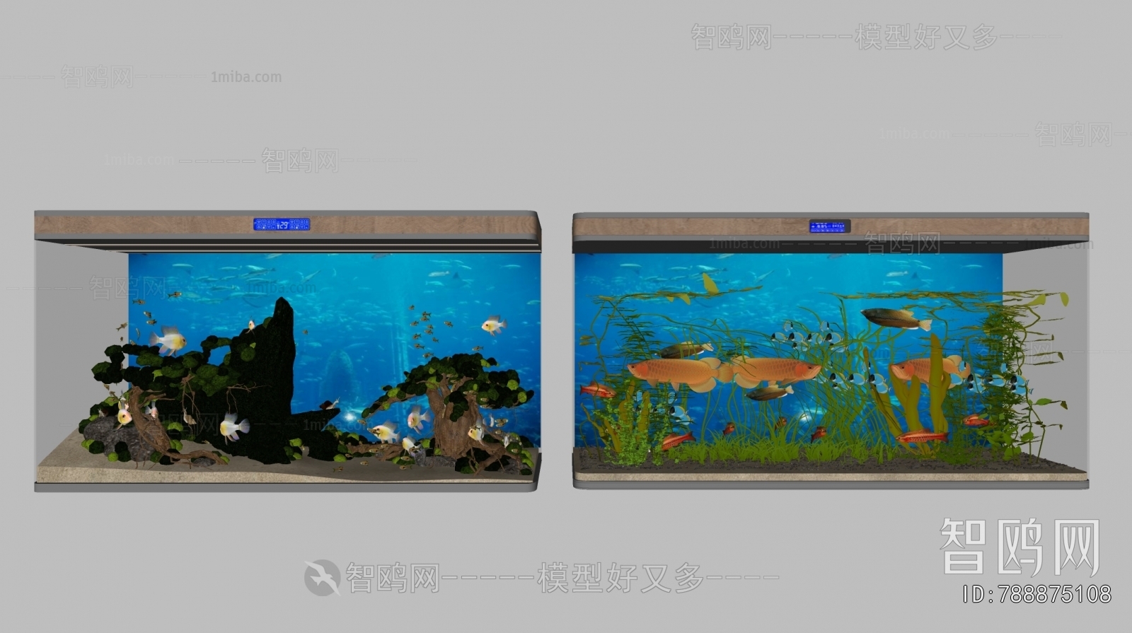 Modern Fish Tank