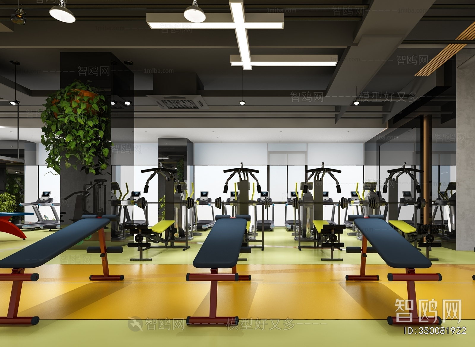 Industrial Style Gym