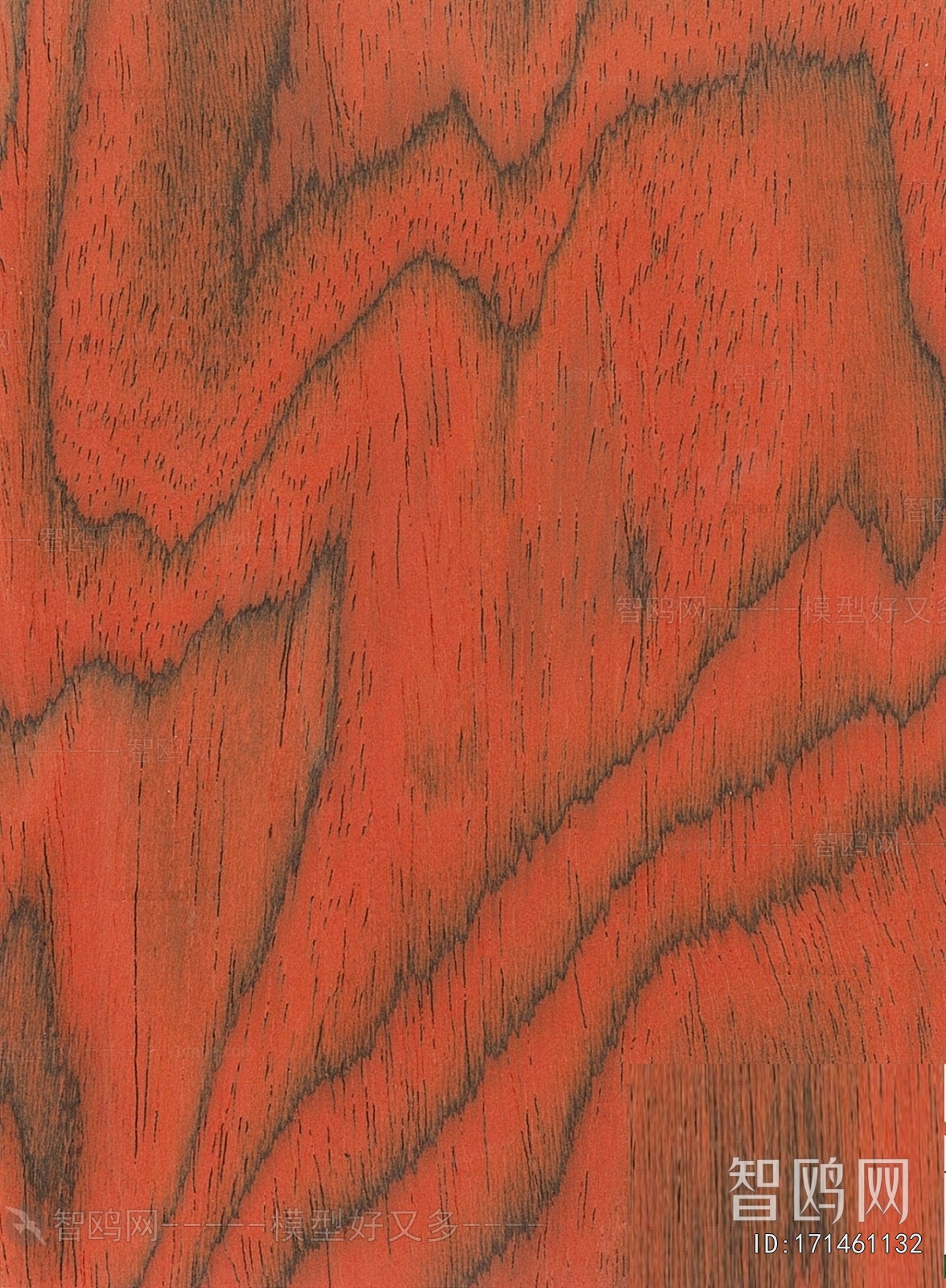 Wood Texture