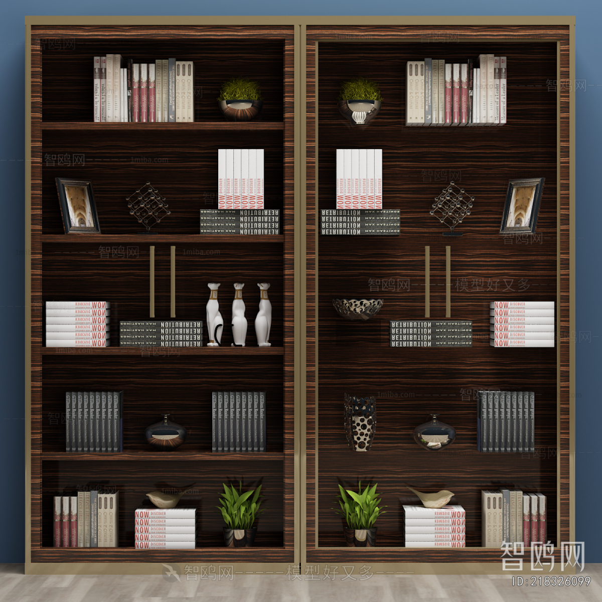 Modern Bookcase